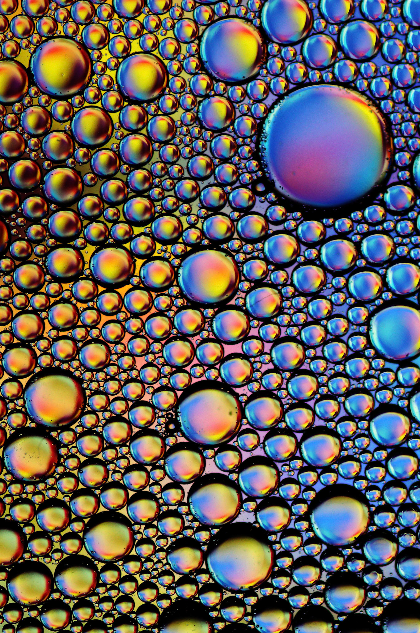 Oil and Water #78