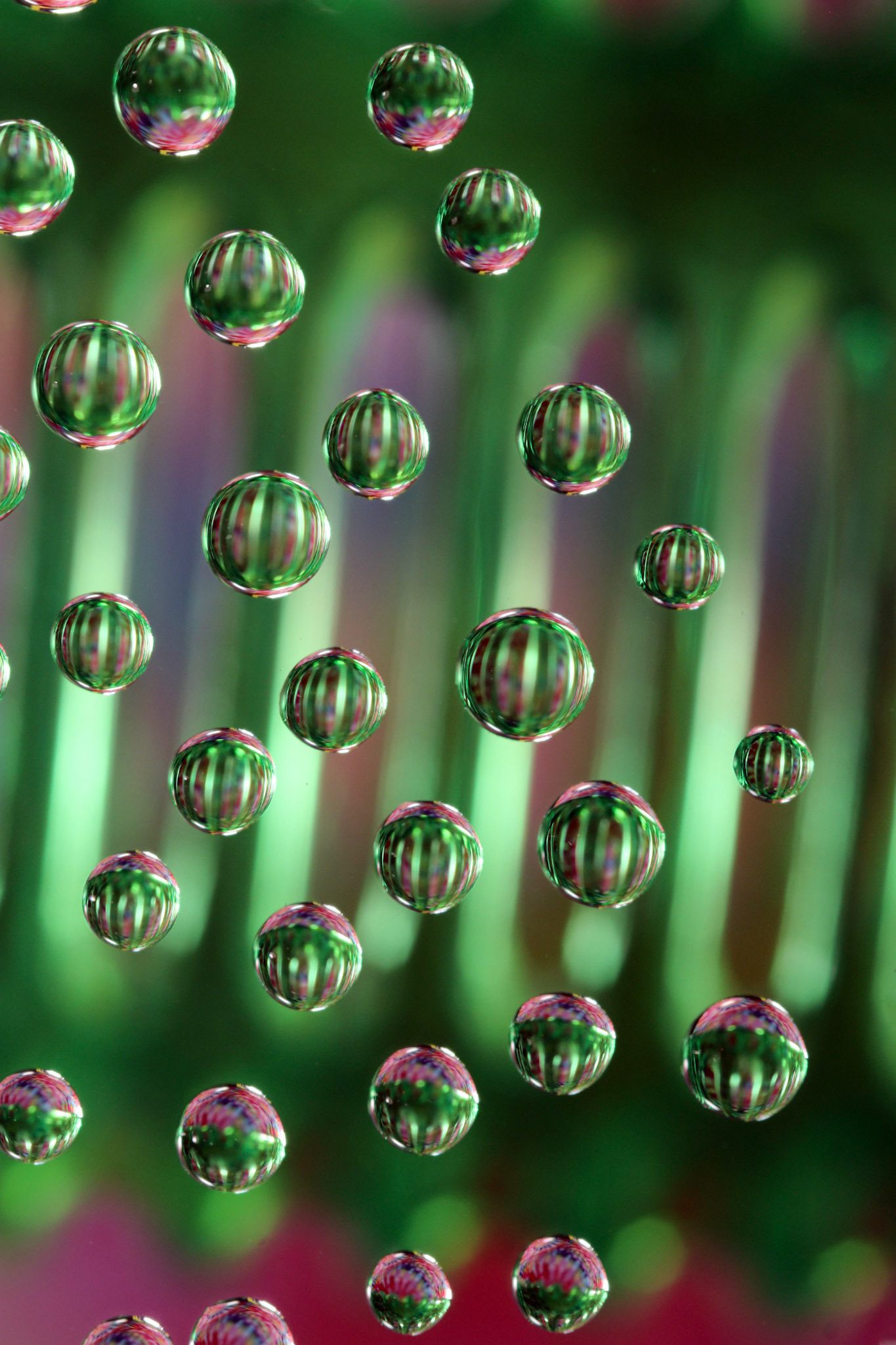 Micro Magic #12