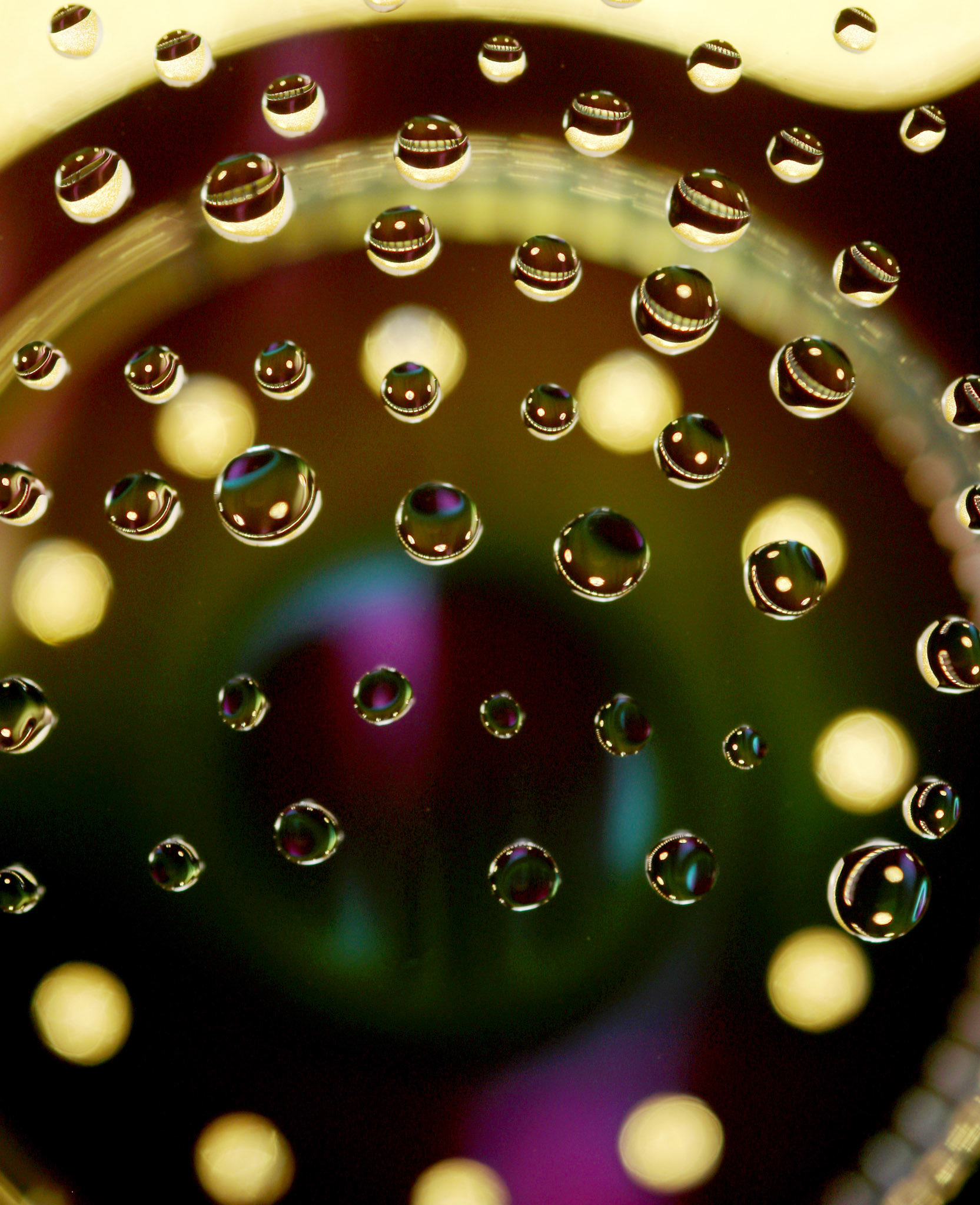 Micro Magic #89