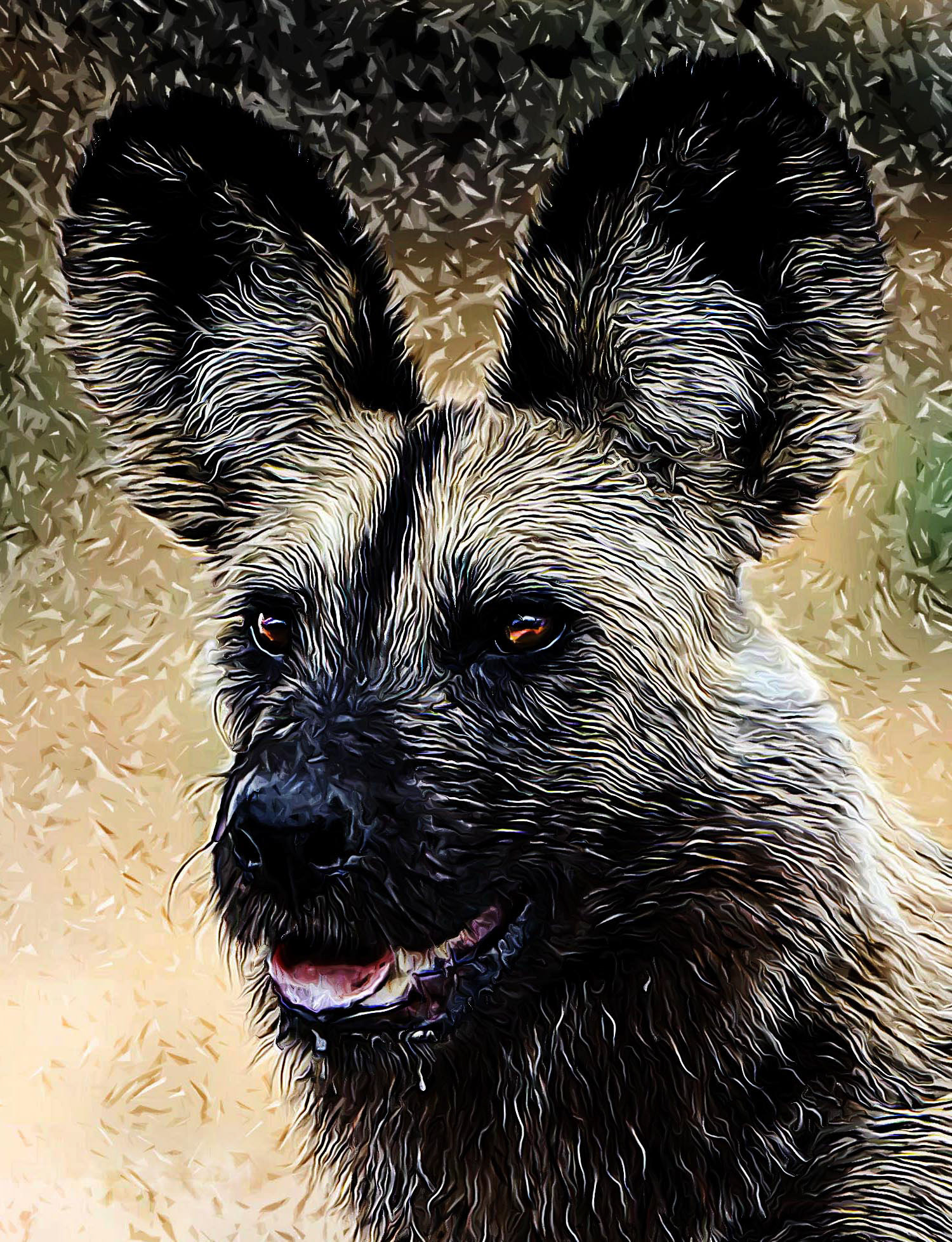 African Wild Dog