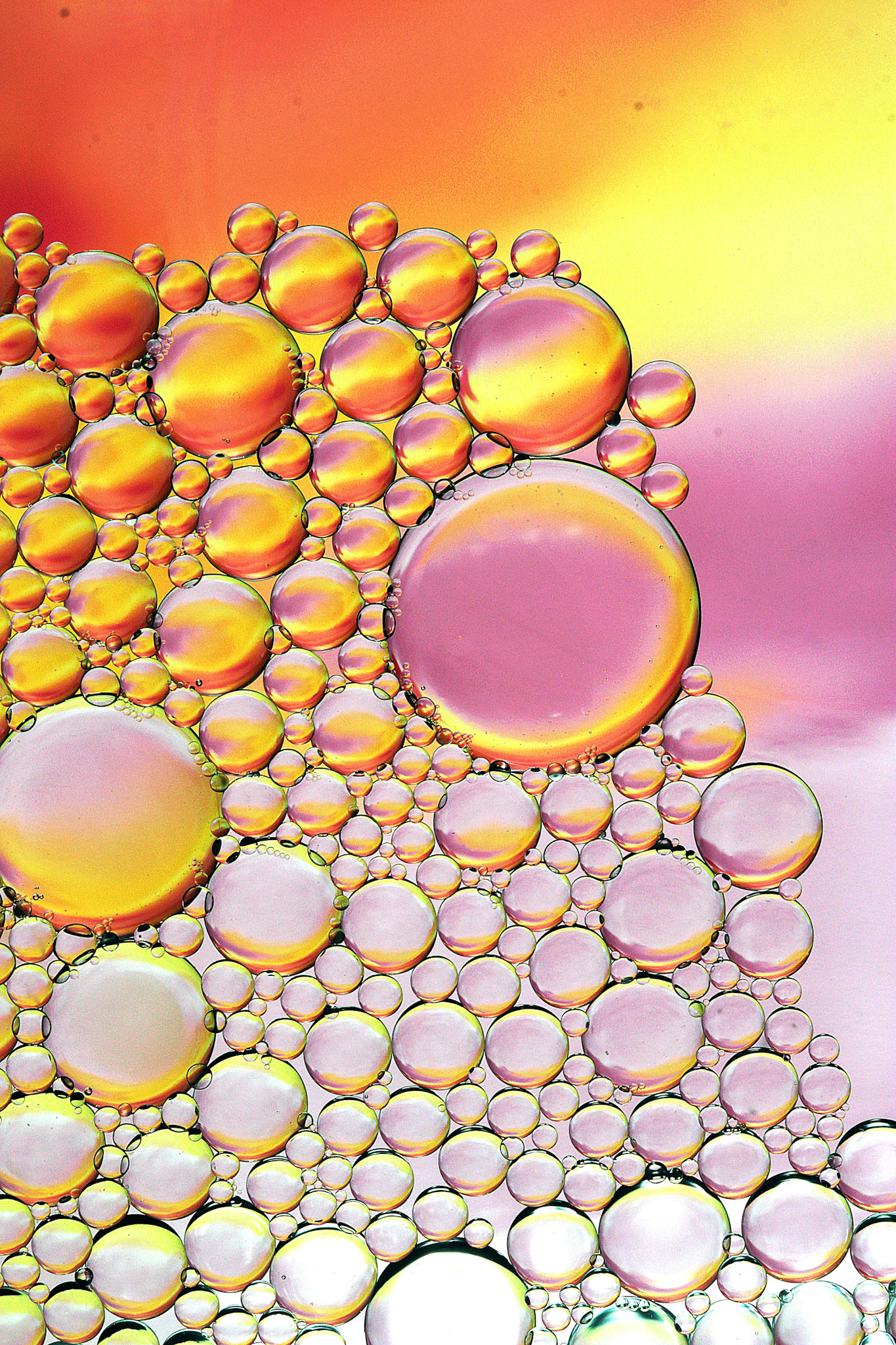 Oil and Water #59