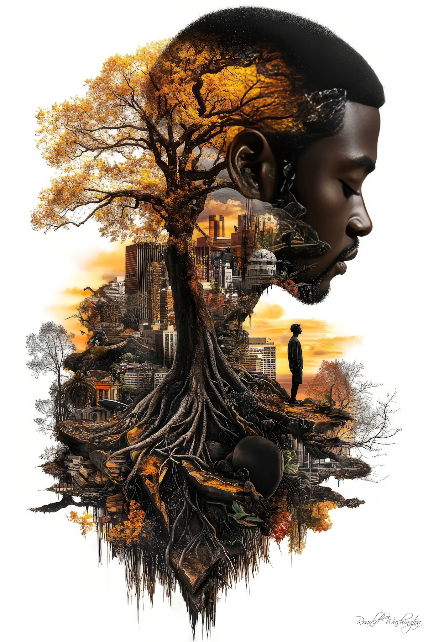 Rooted in Nature, Framed by Progress