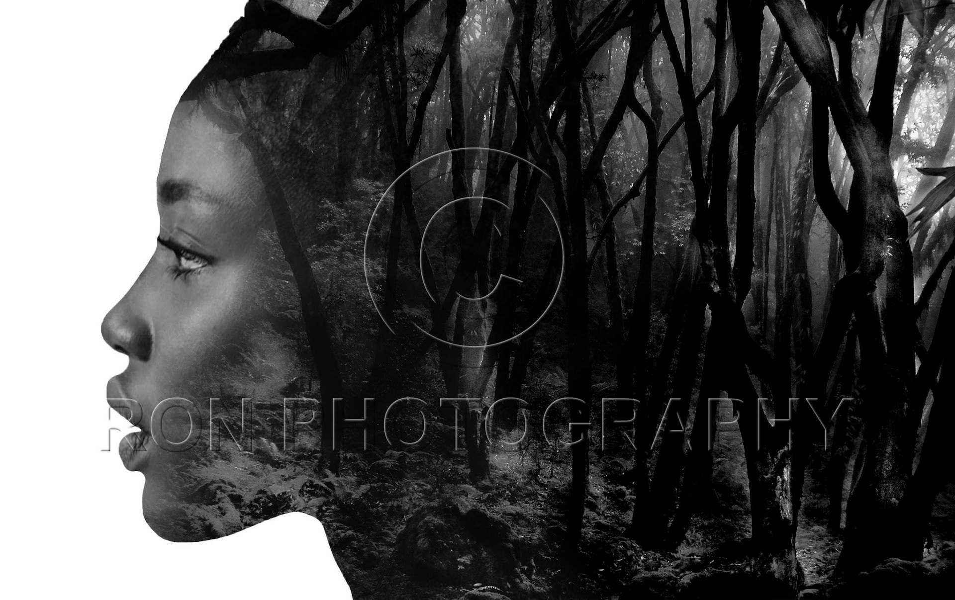 Dark Forest 4