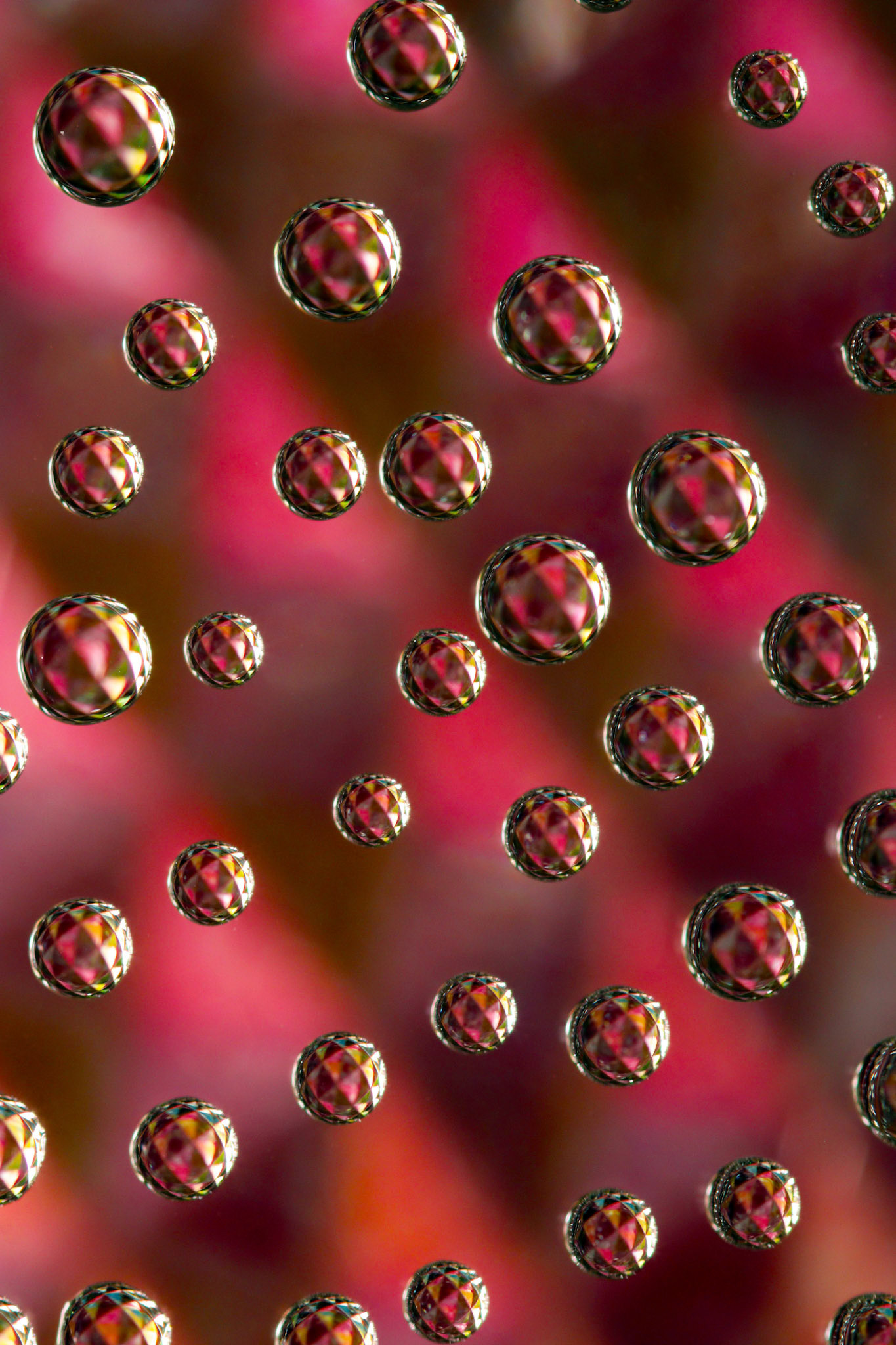 Micro Magic #26