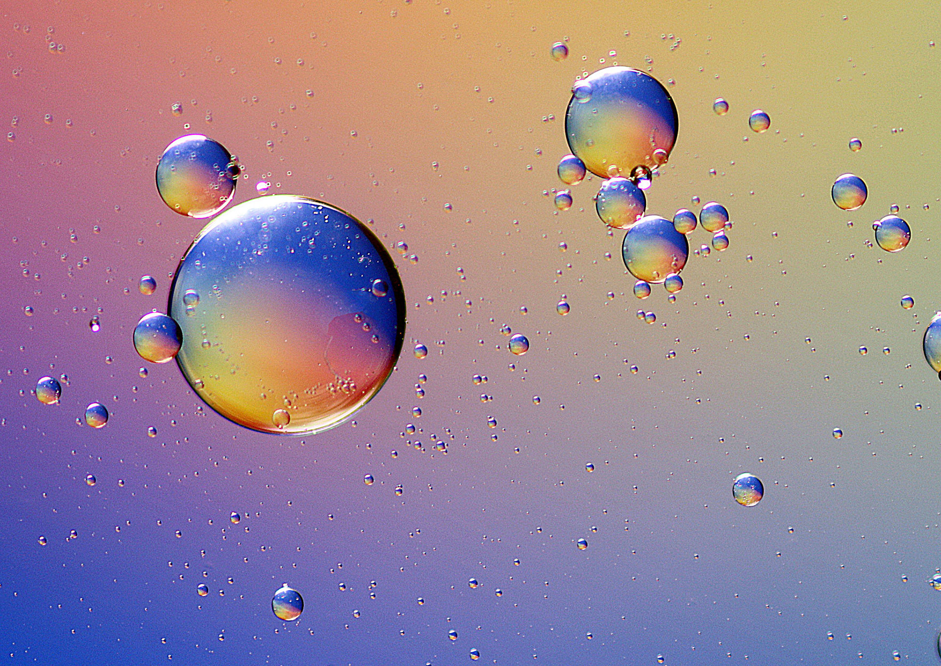Oil and Water #25
