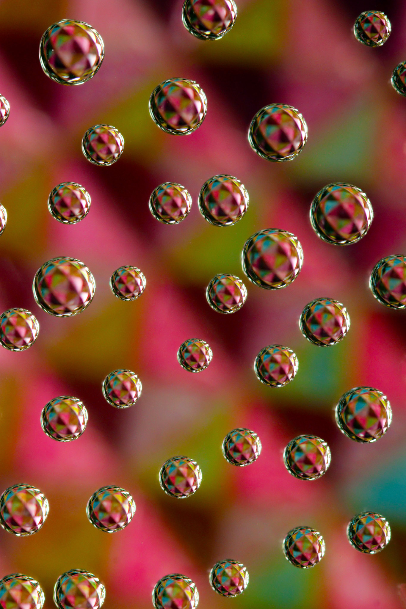 Micro Magic #22
