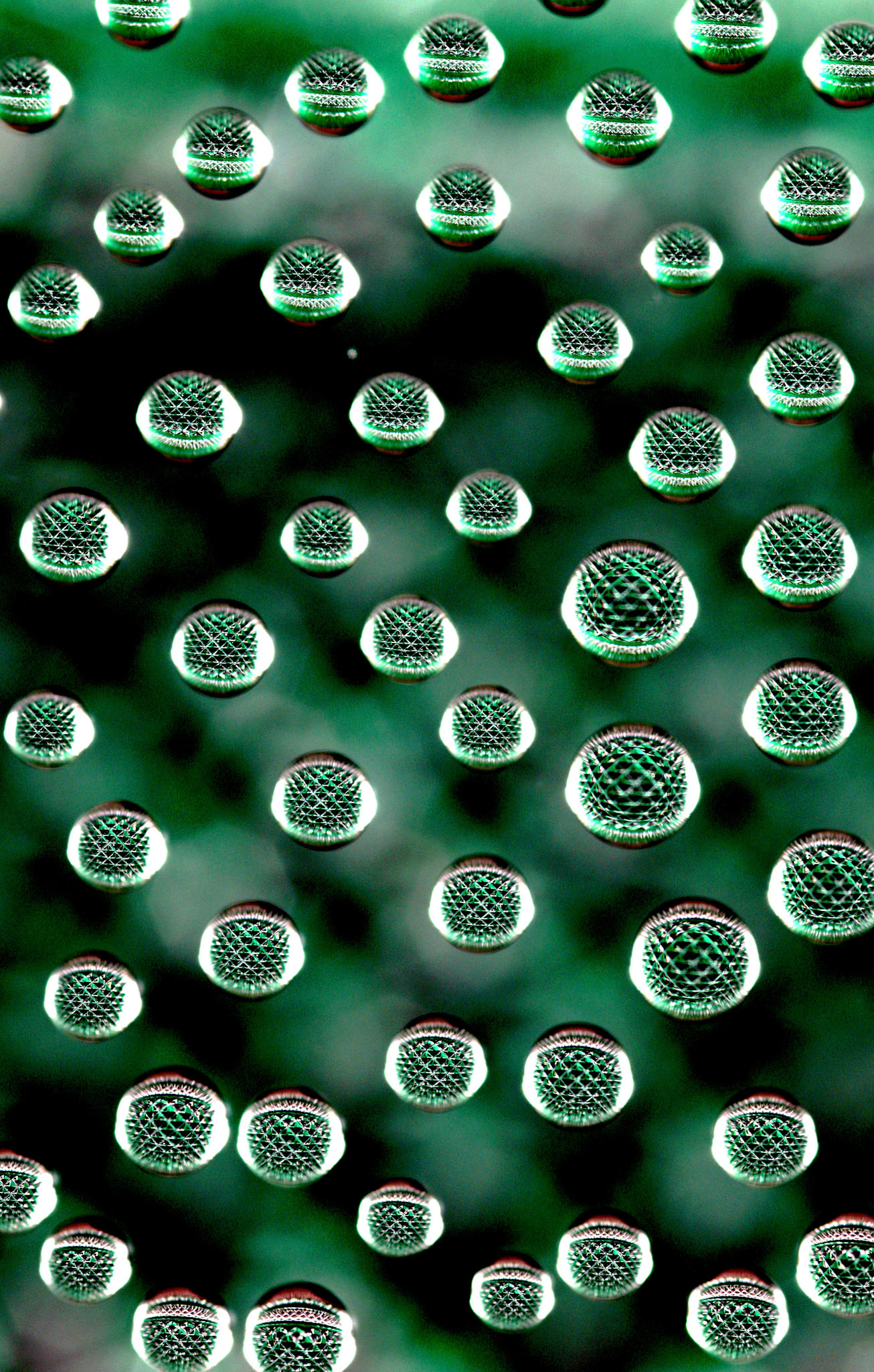 Micro Magic #68