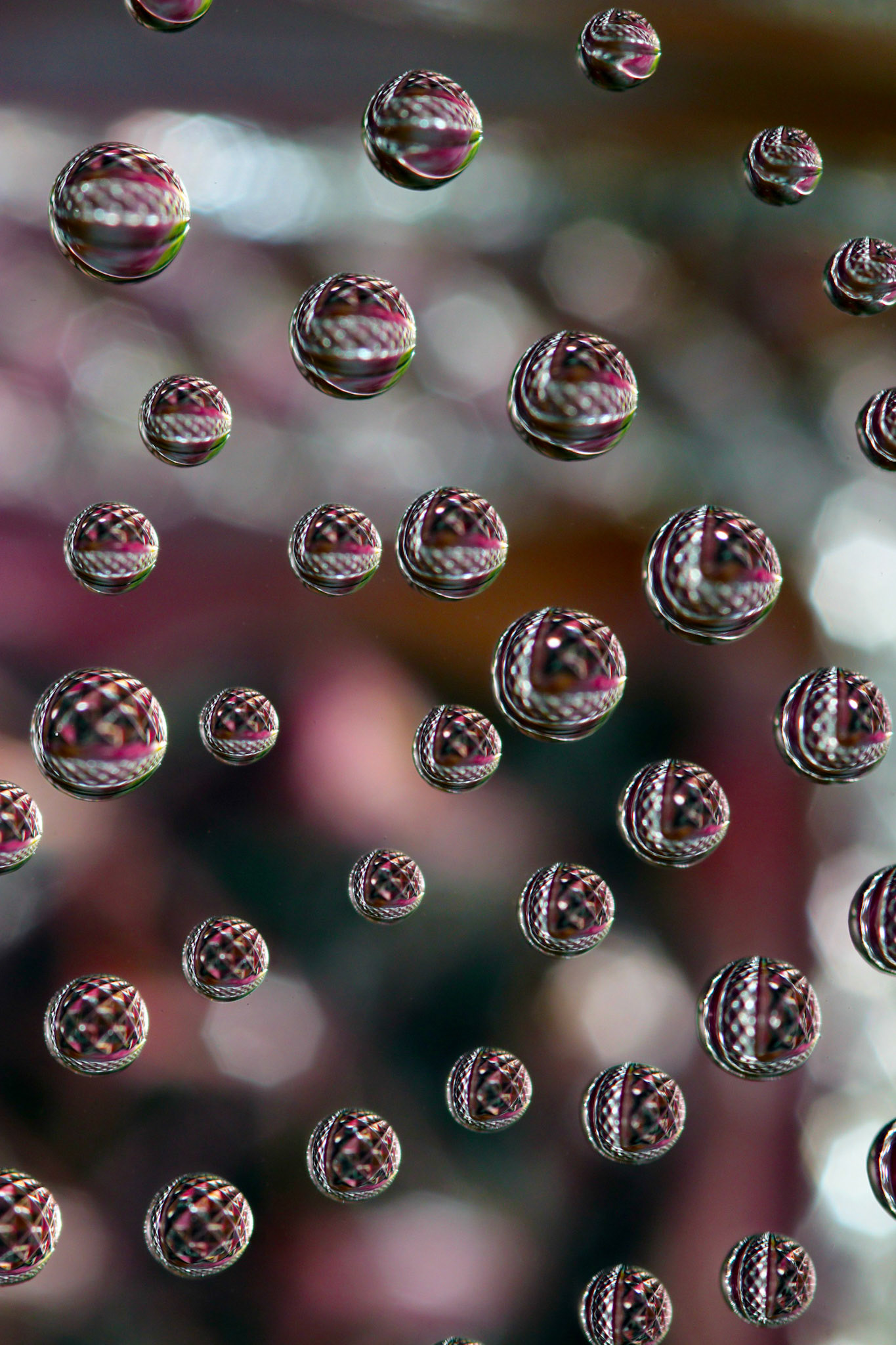 Micro Magic #25