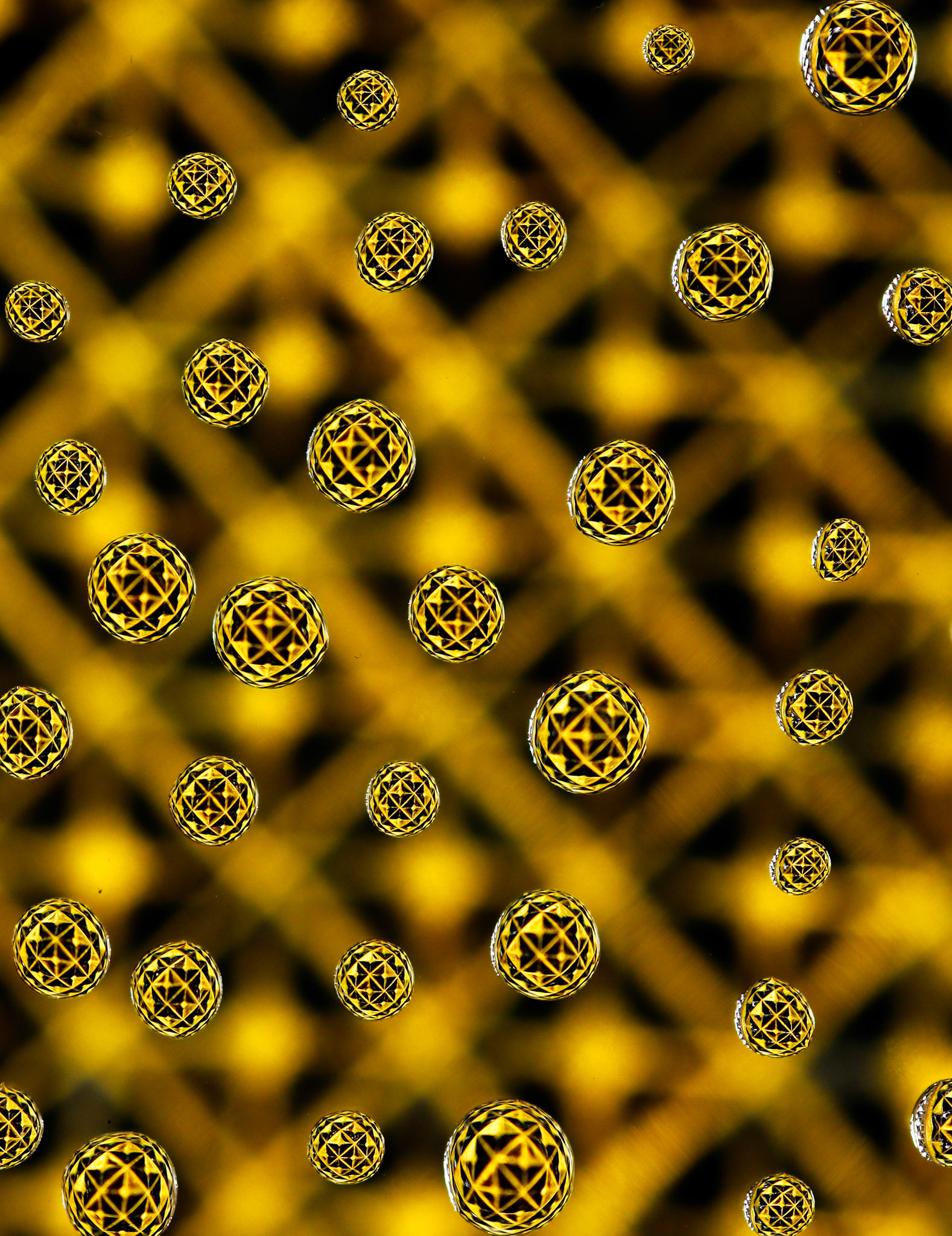 Micro Magic #81