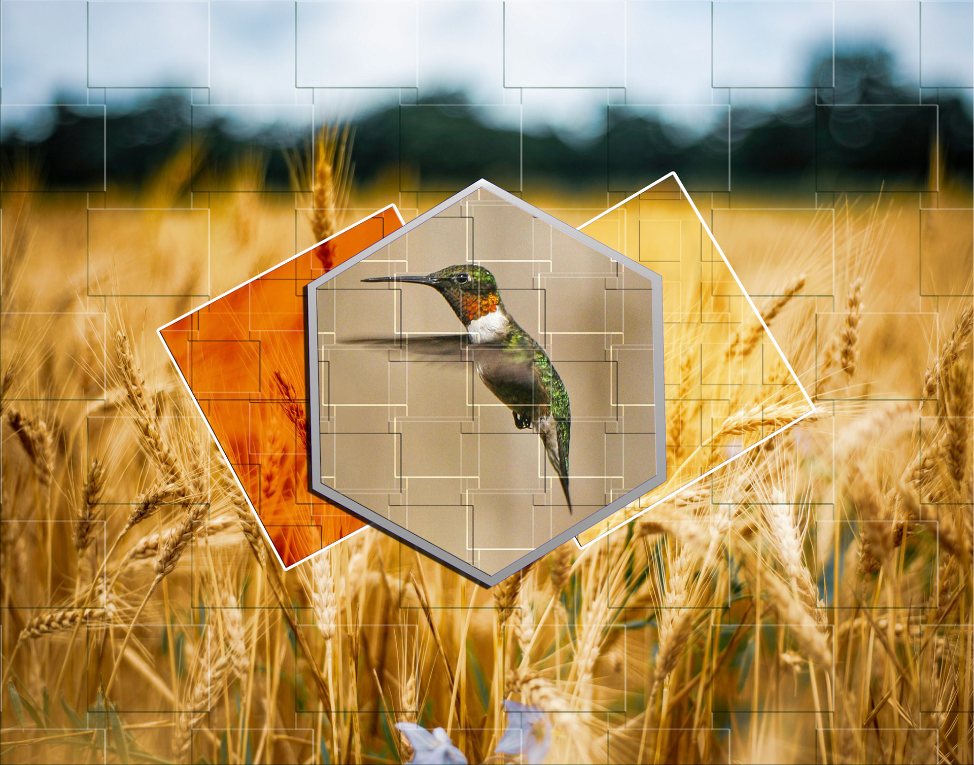 Geometric Shape Effect