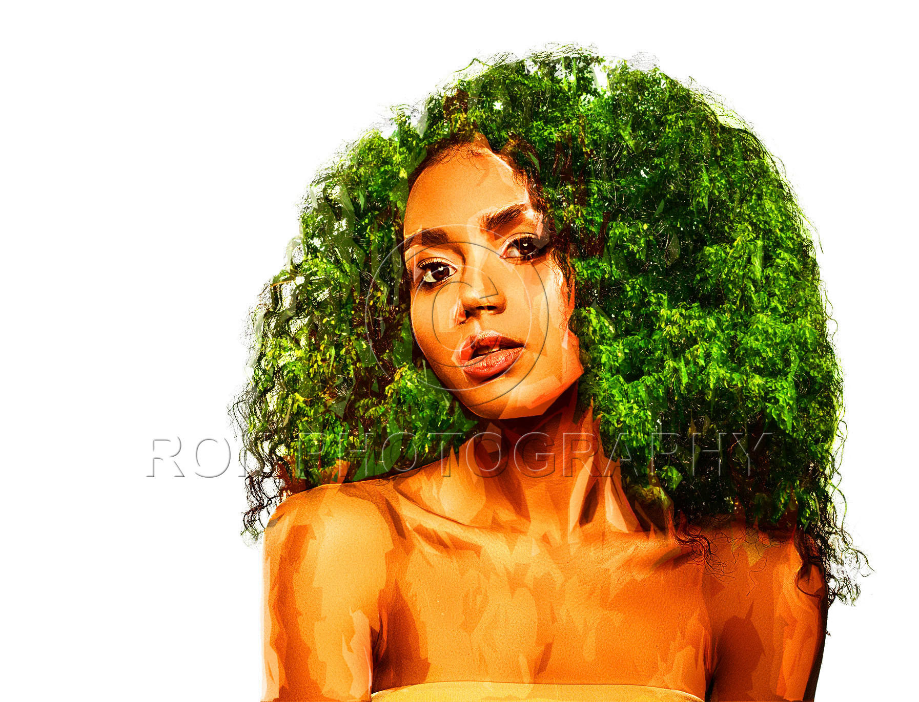 single tree with clipping path on white background