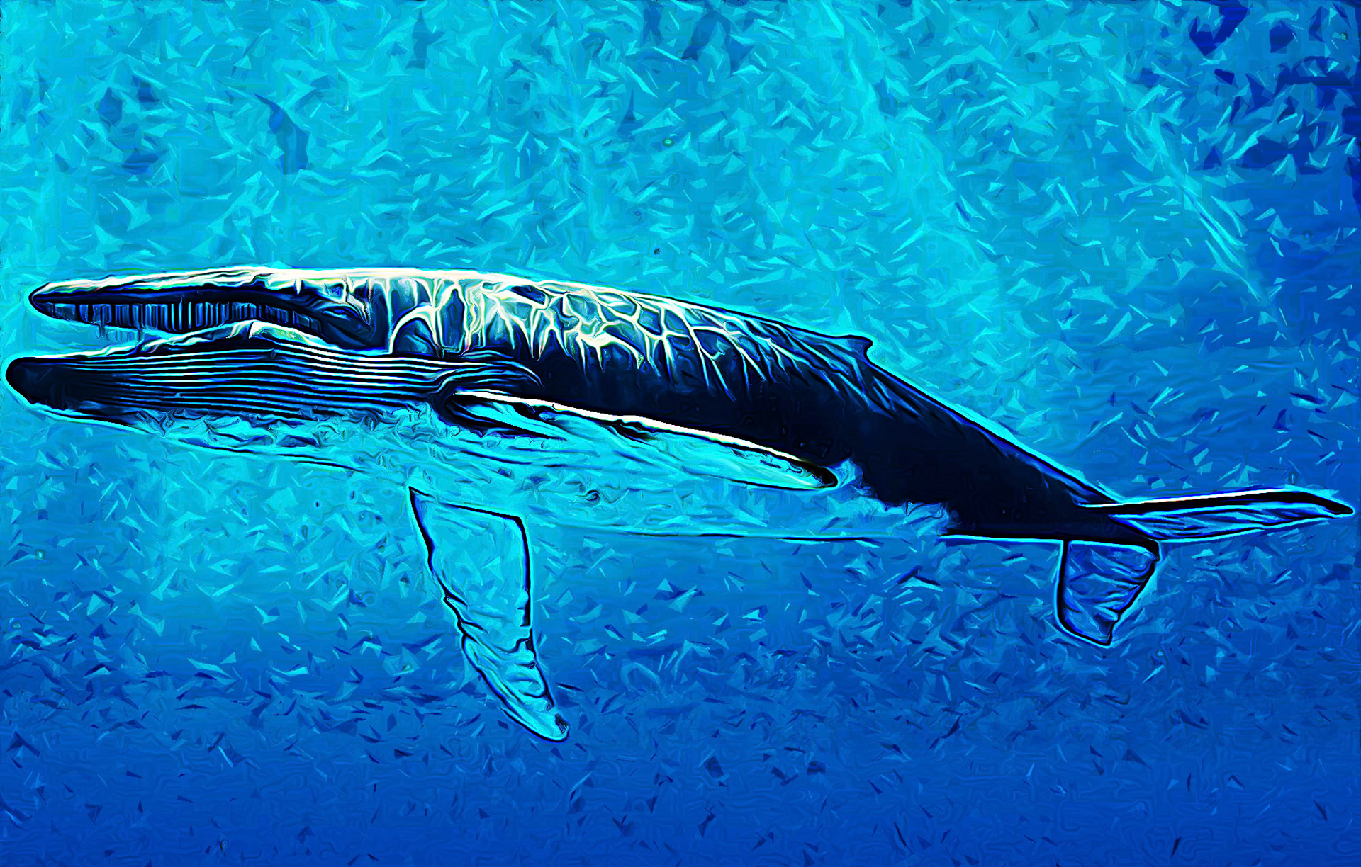 Blue Whale