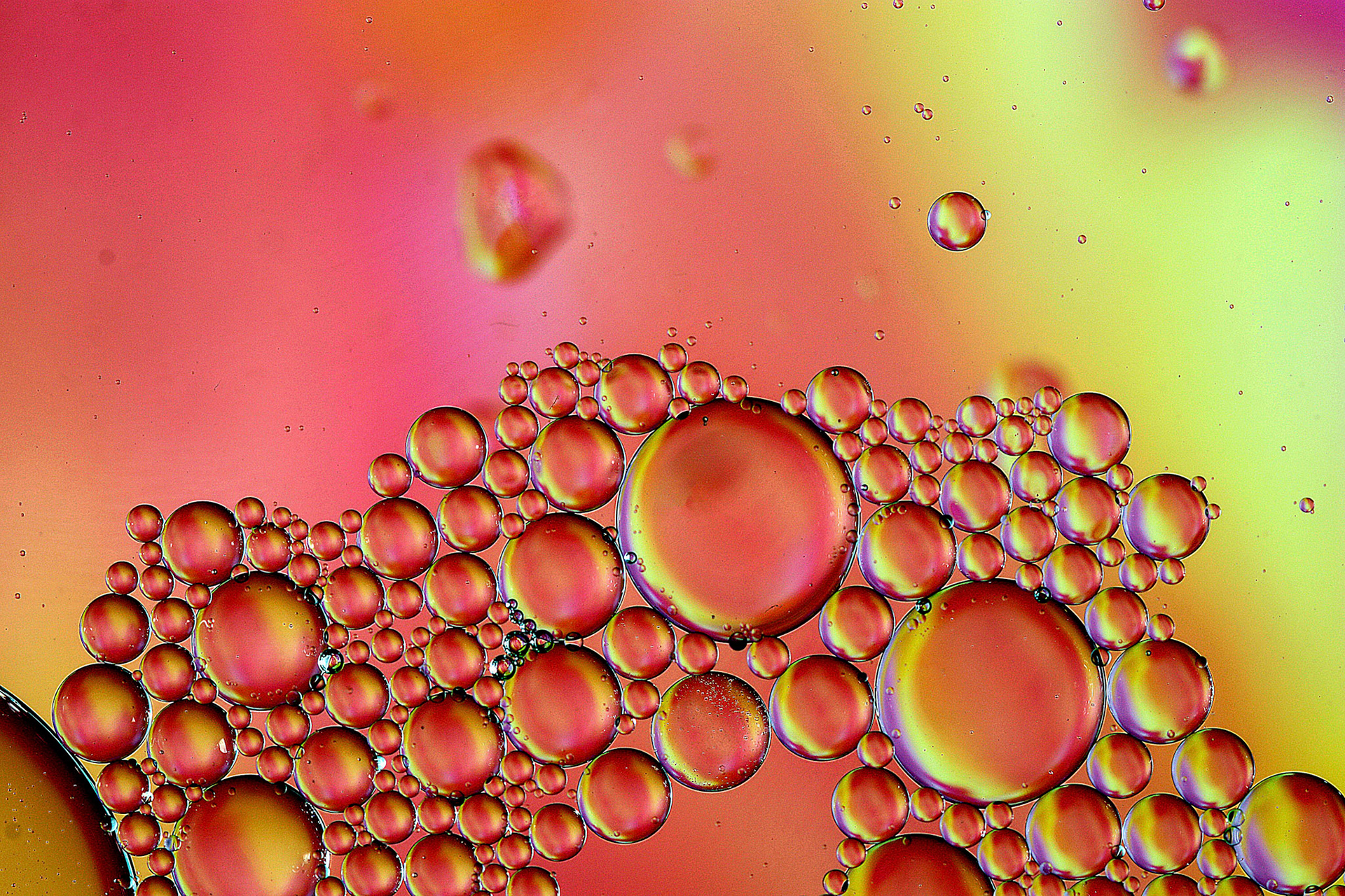 Oil and Water #51