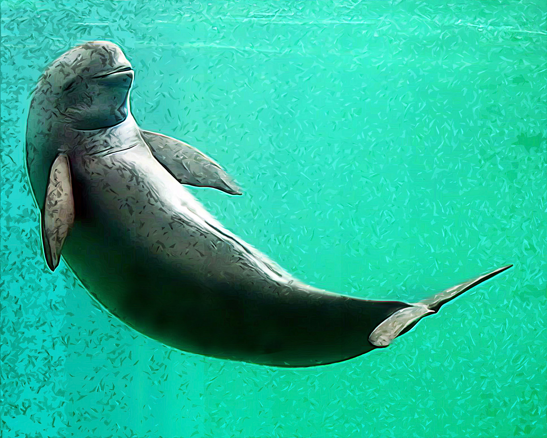 Yangtze Finless Dolphin