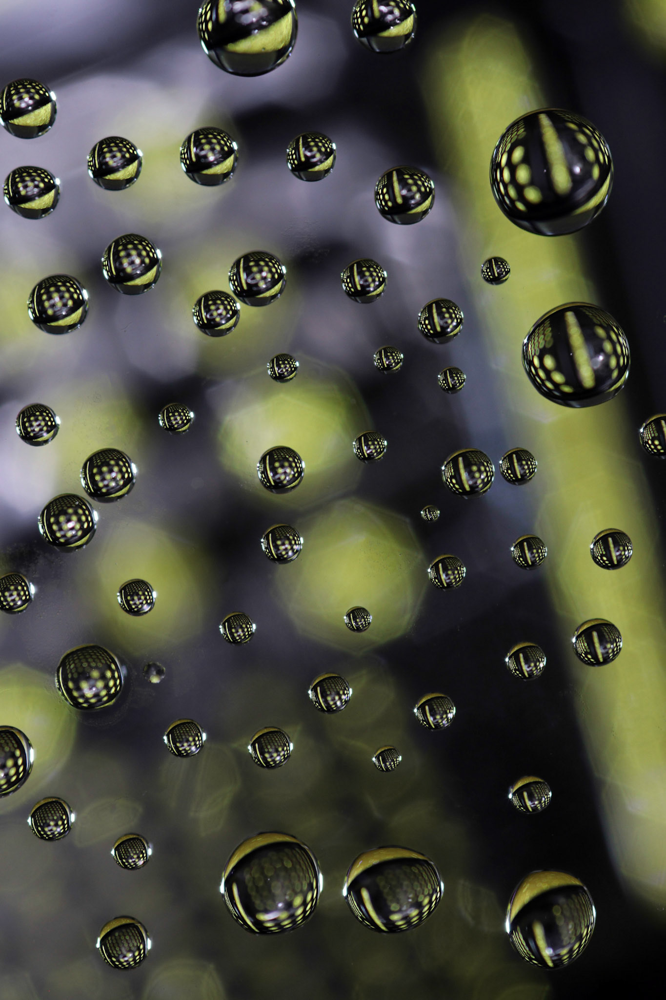 Micro Magic #6