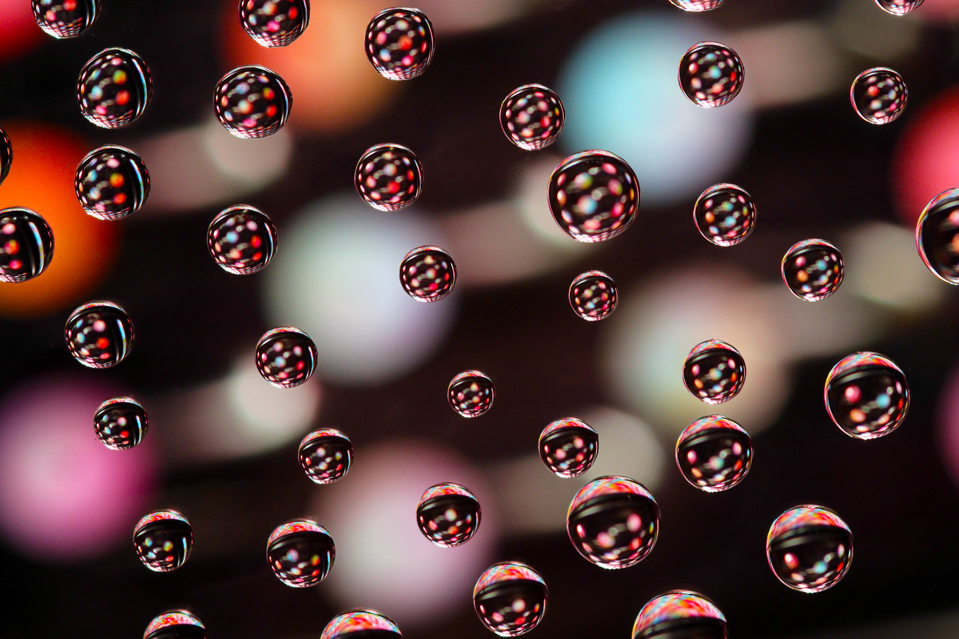 Micro Magic #55