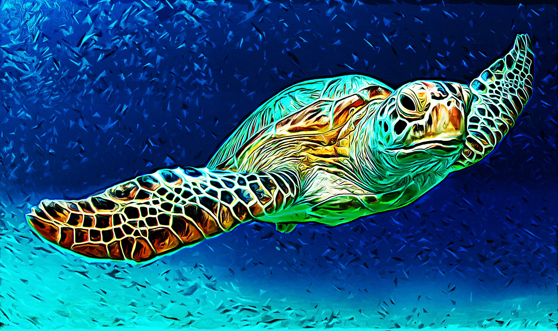 Green Sea Turtle