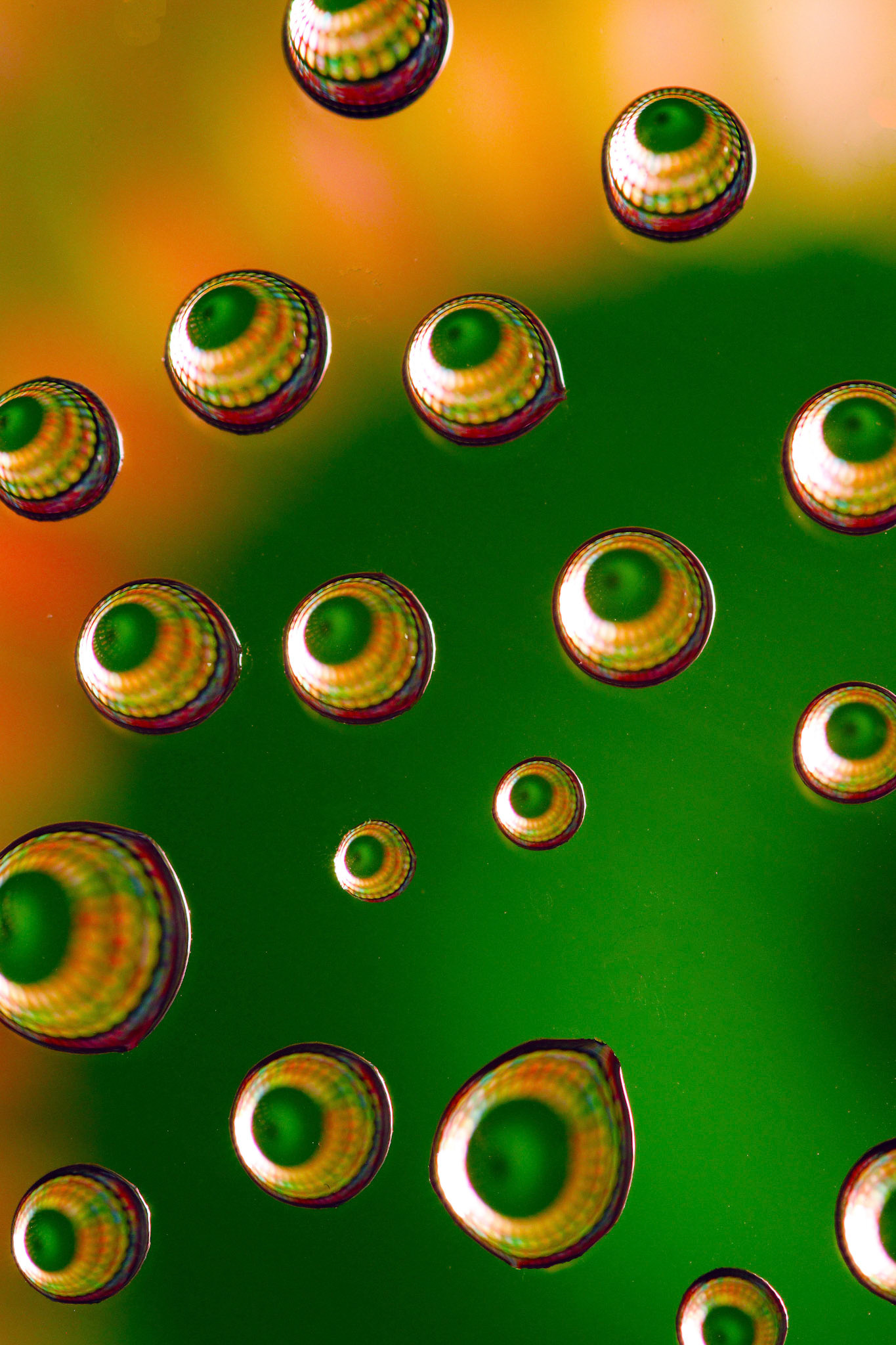 Micro Magic #58