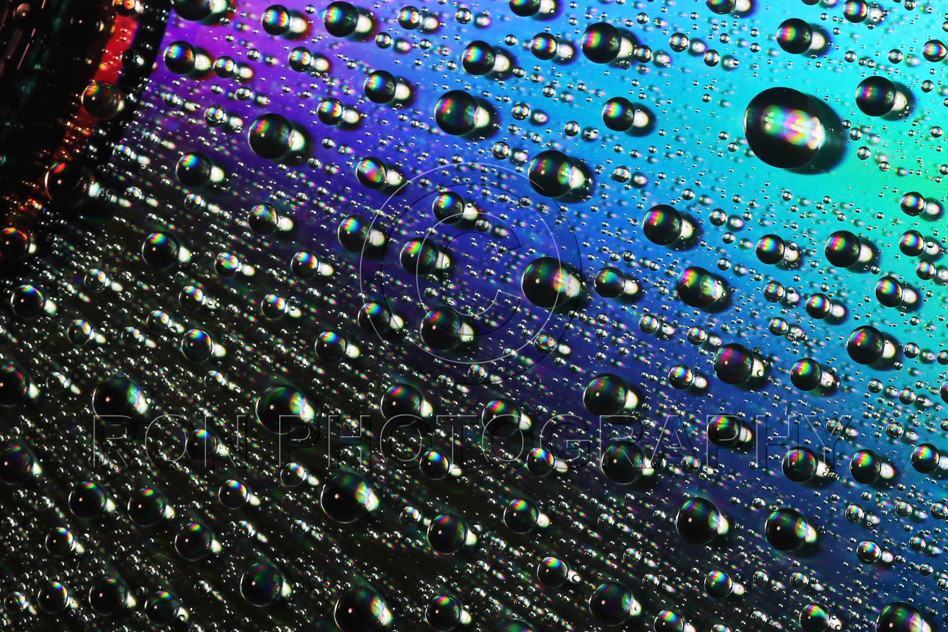 Abstract Water Droplets #29