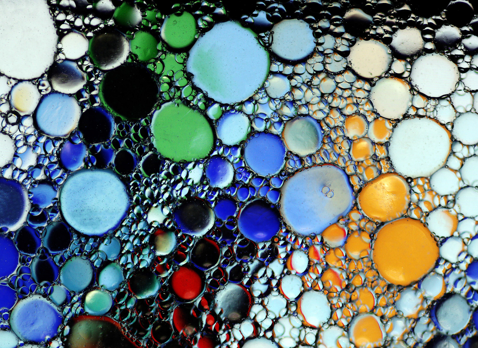 Oil and Water #81