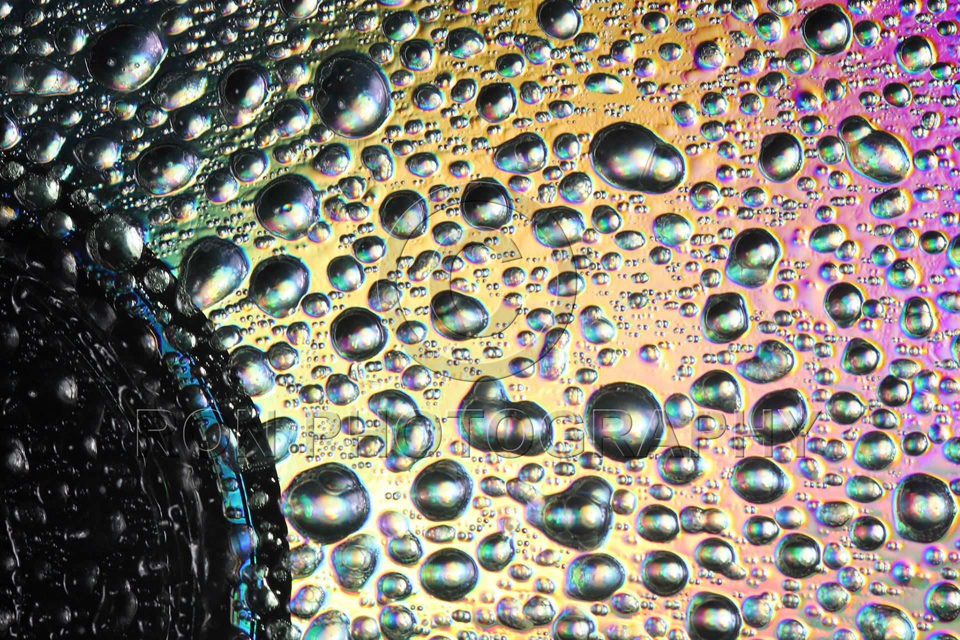 Abstract Water Droplets #26