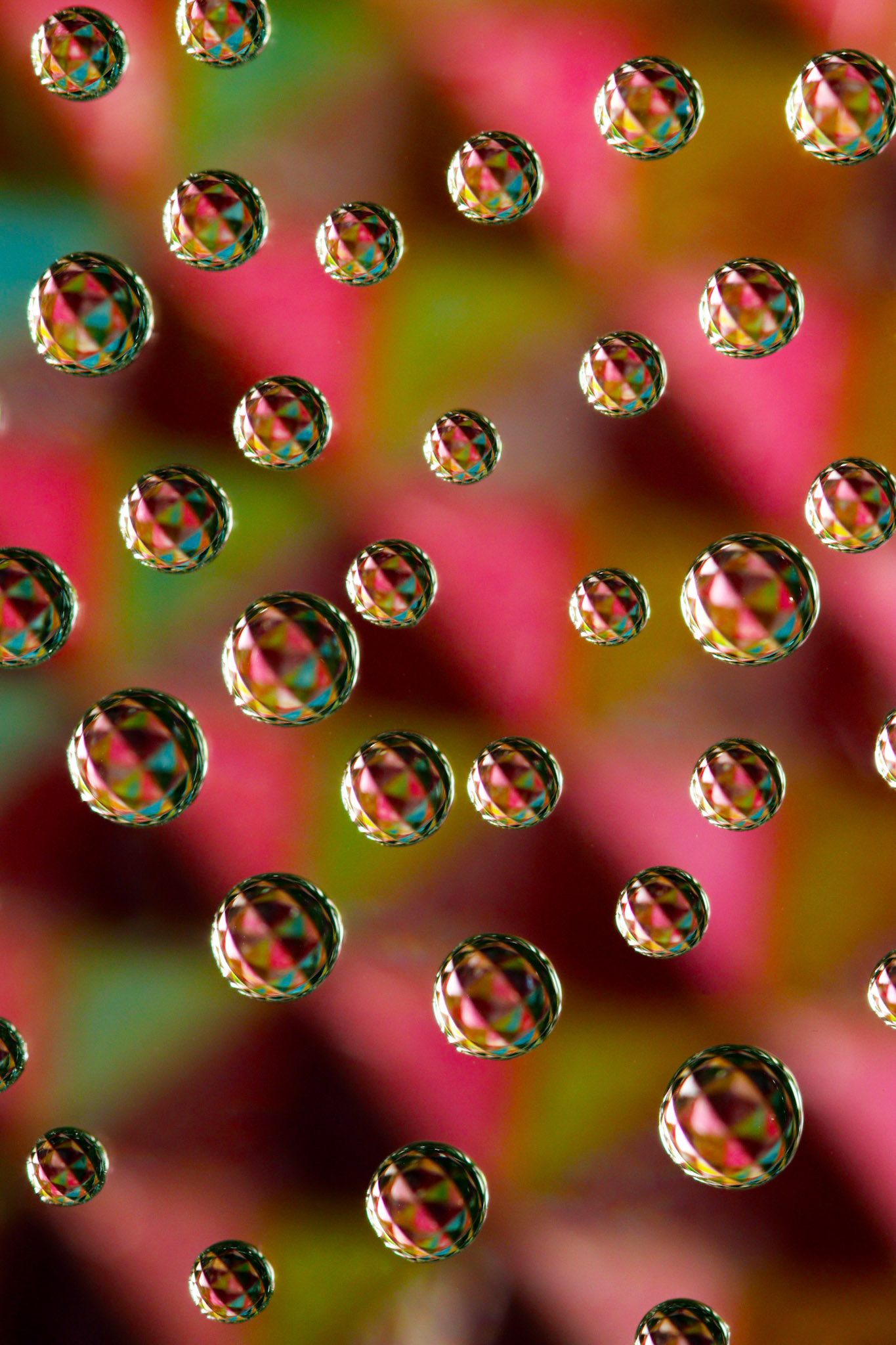 Micro Magic #23