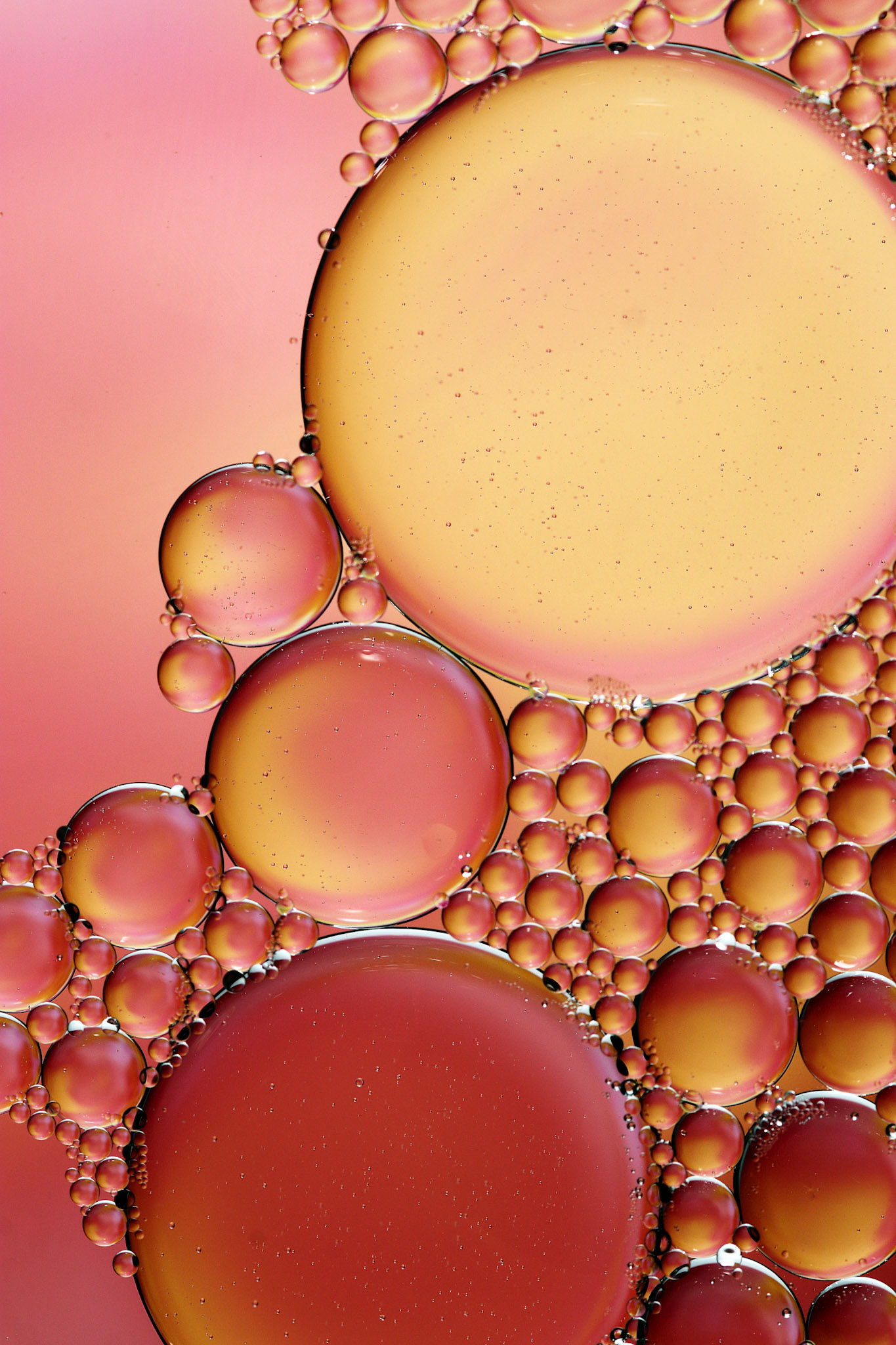 Oil and Water #53