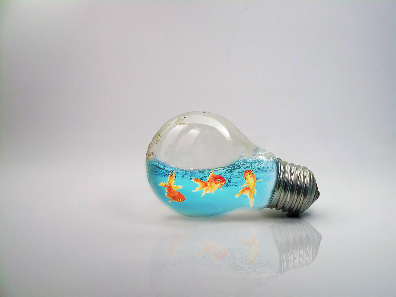 Fish In A Bulb