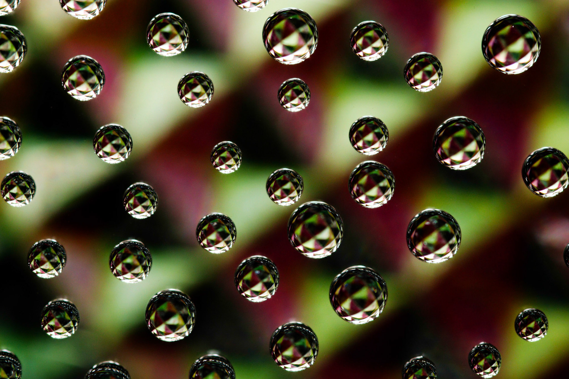 Micro Magic #27