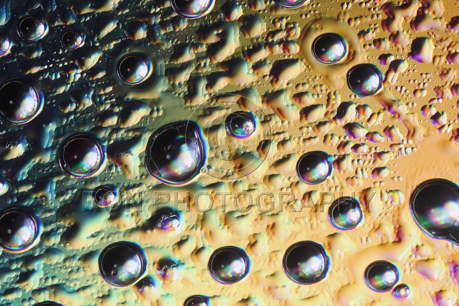 Abstract Water Droplets #24