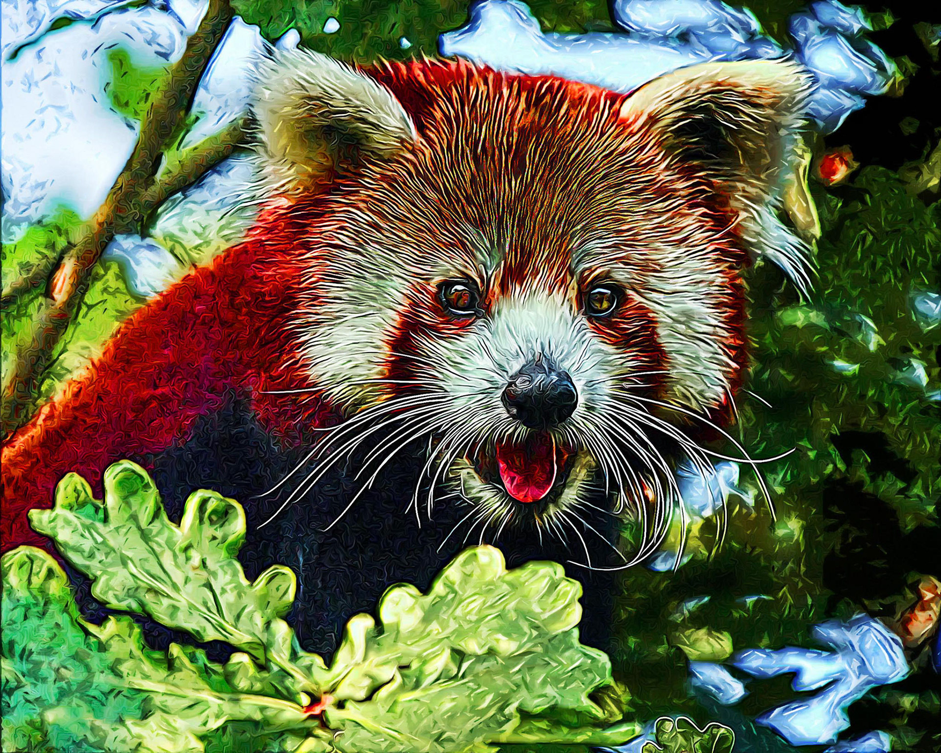 Red Panda