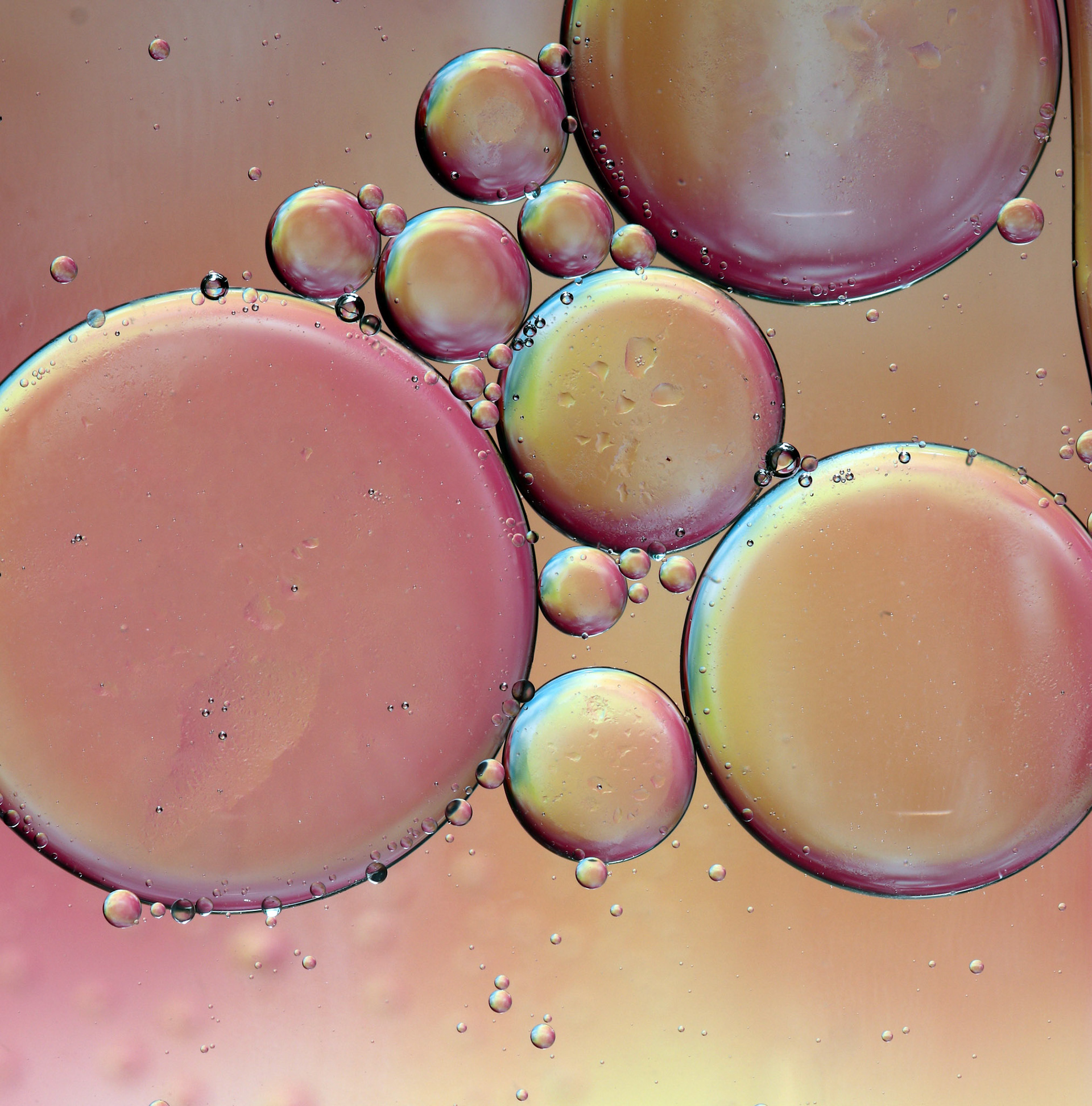 Oil and Water #67