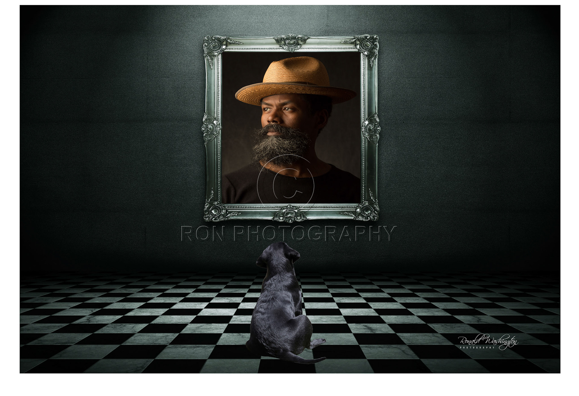 Dog Looking Portrait