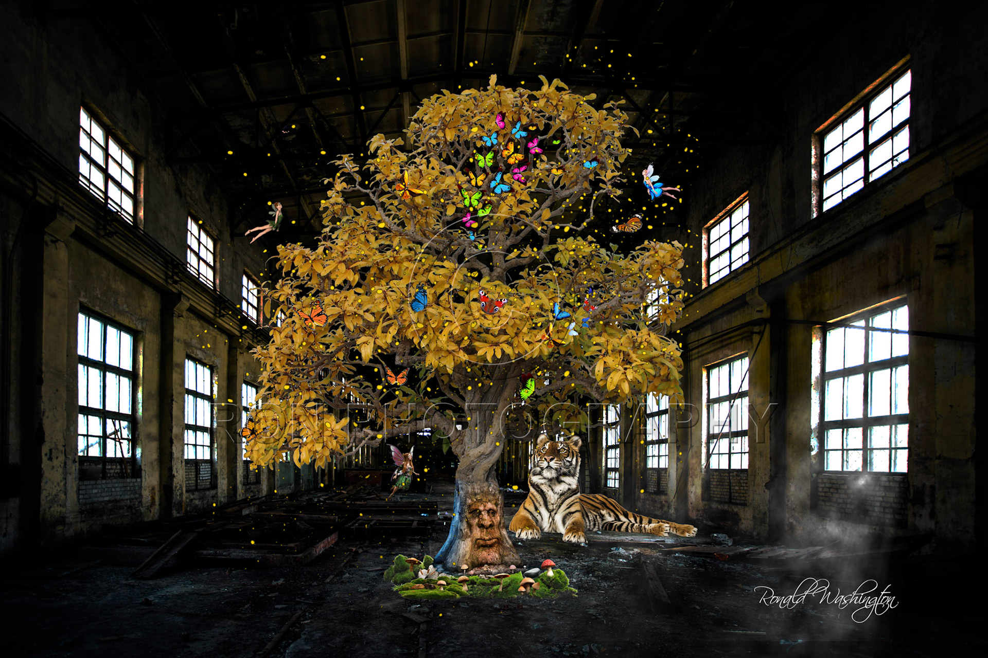 Tree Of Dreams and Good Fortunes