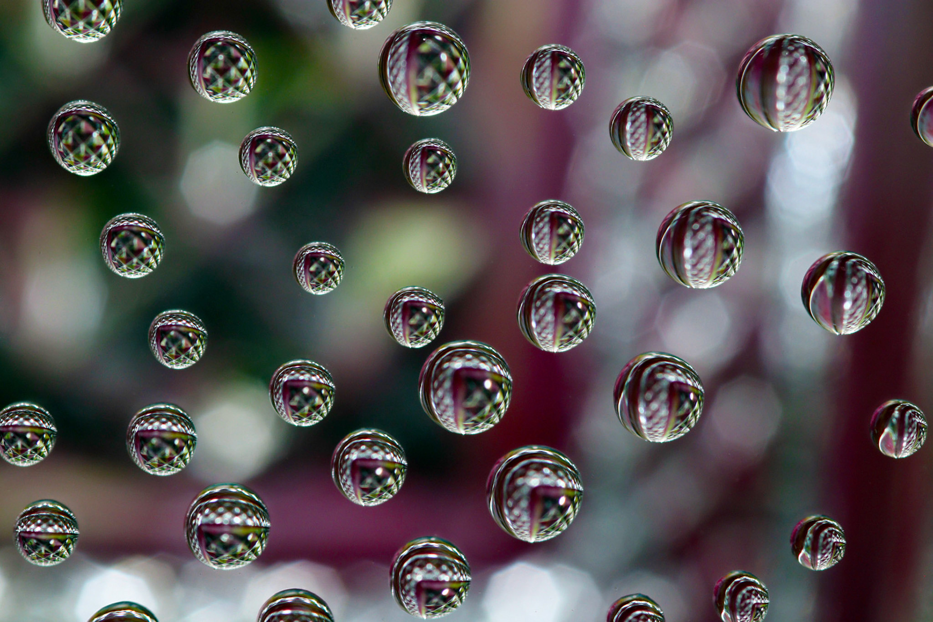 Micro Magic #24