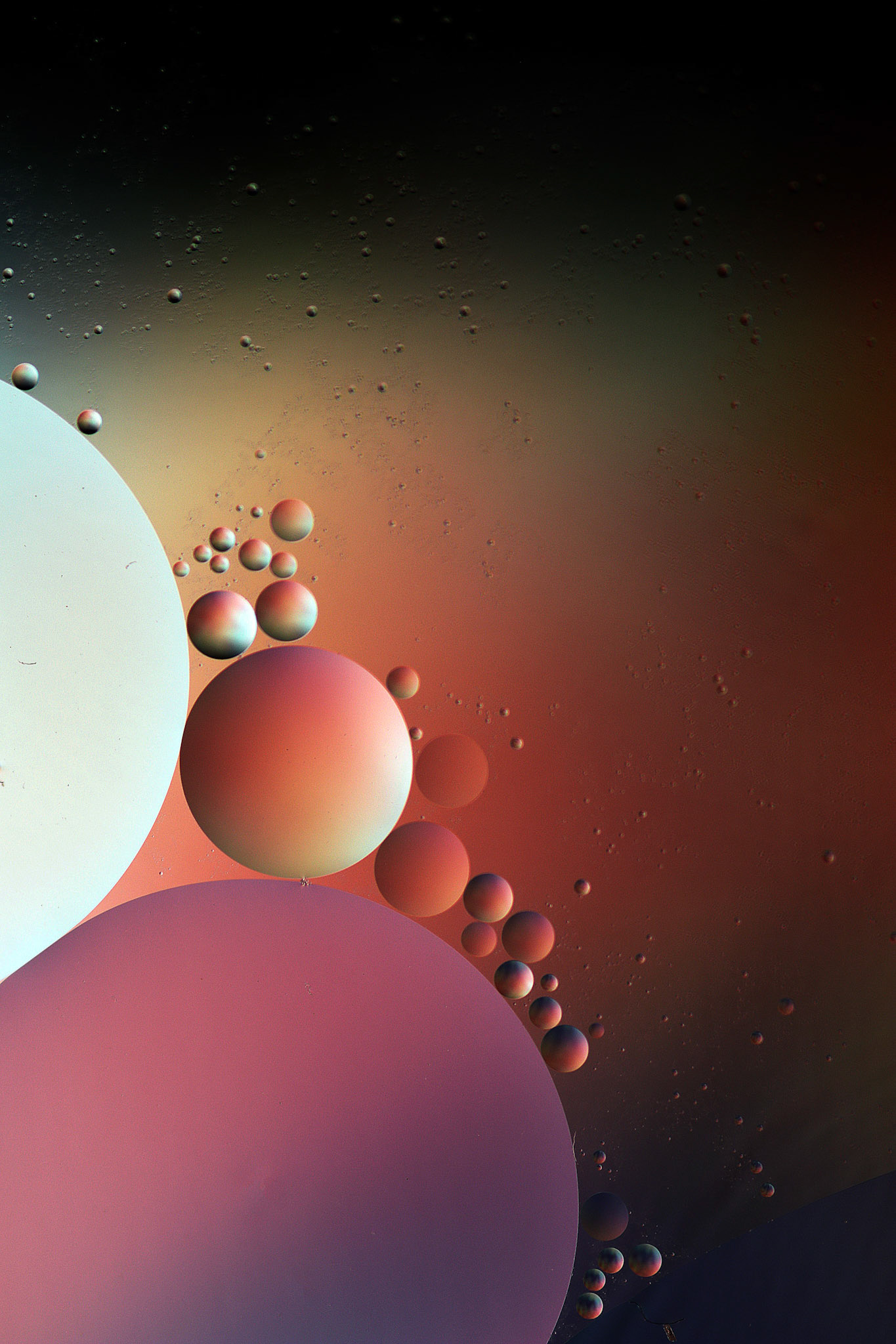 Oil and Water #16