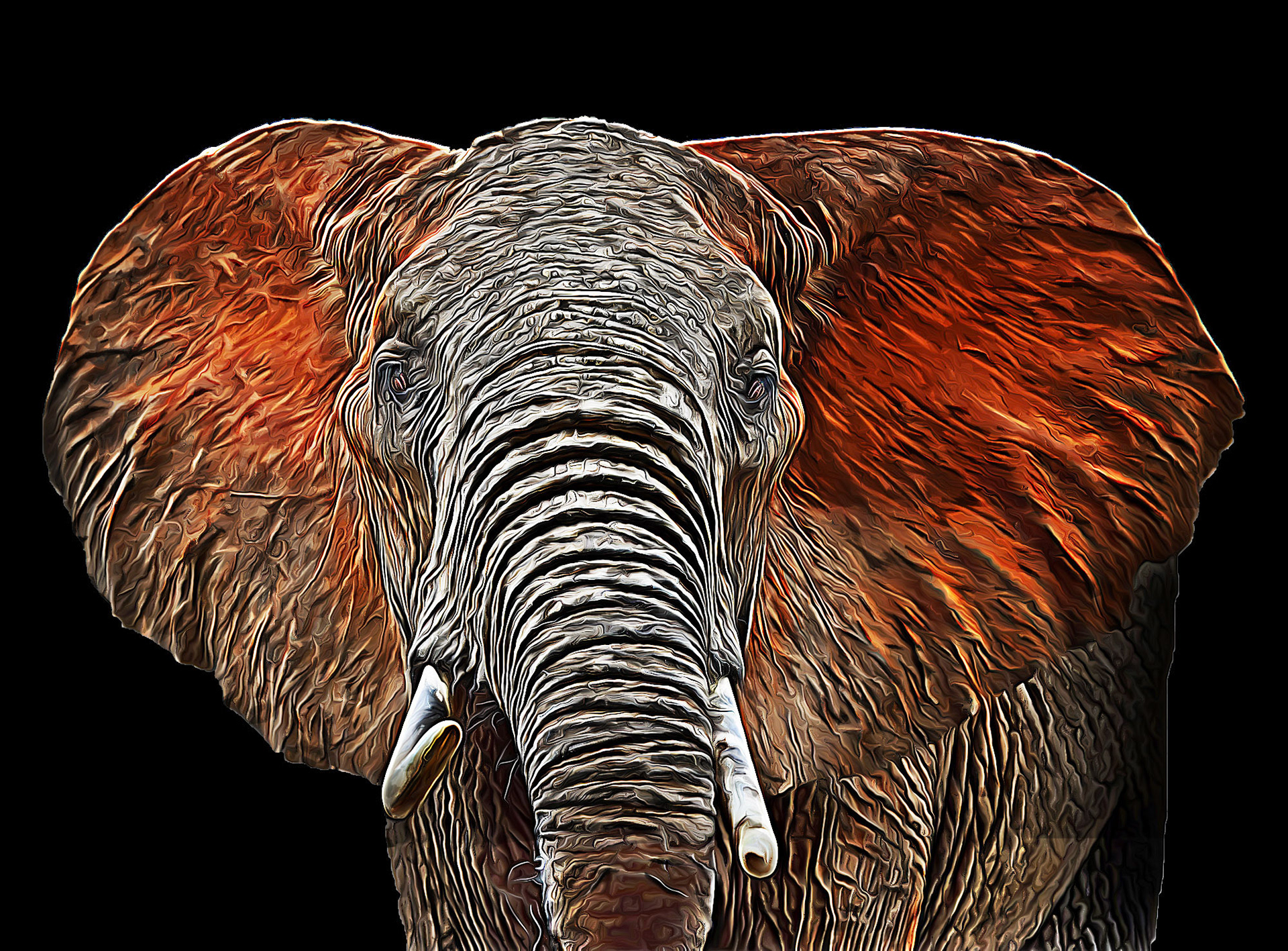 African Savvannah Elephant