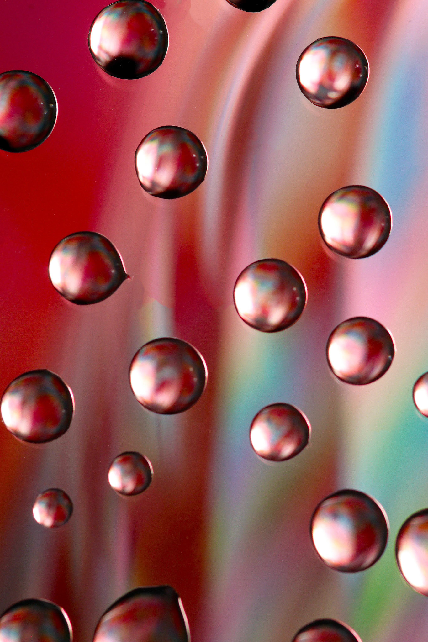 Micro Magic #63