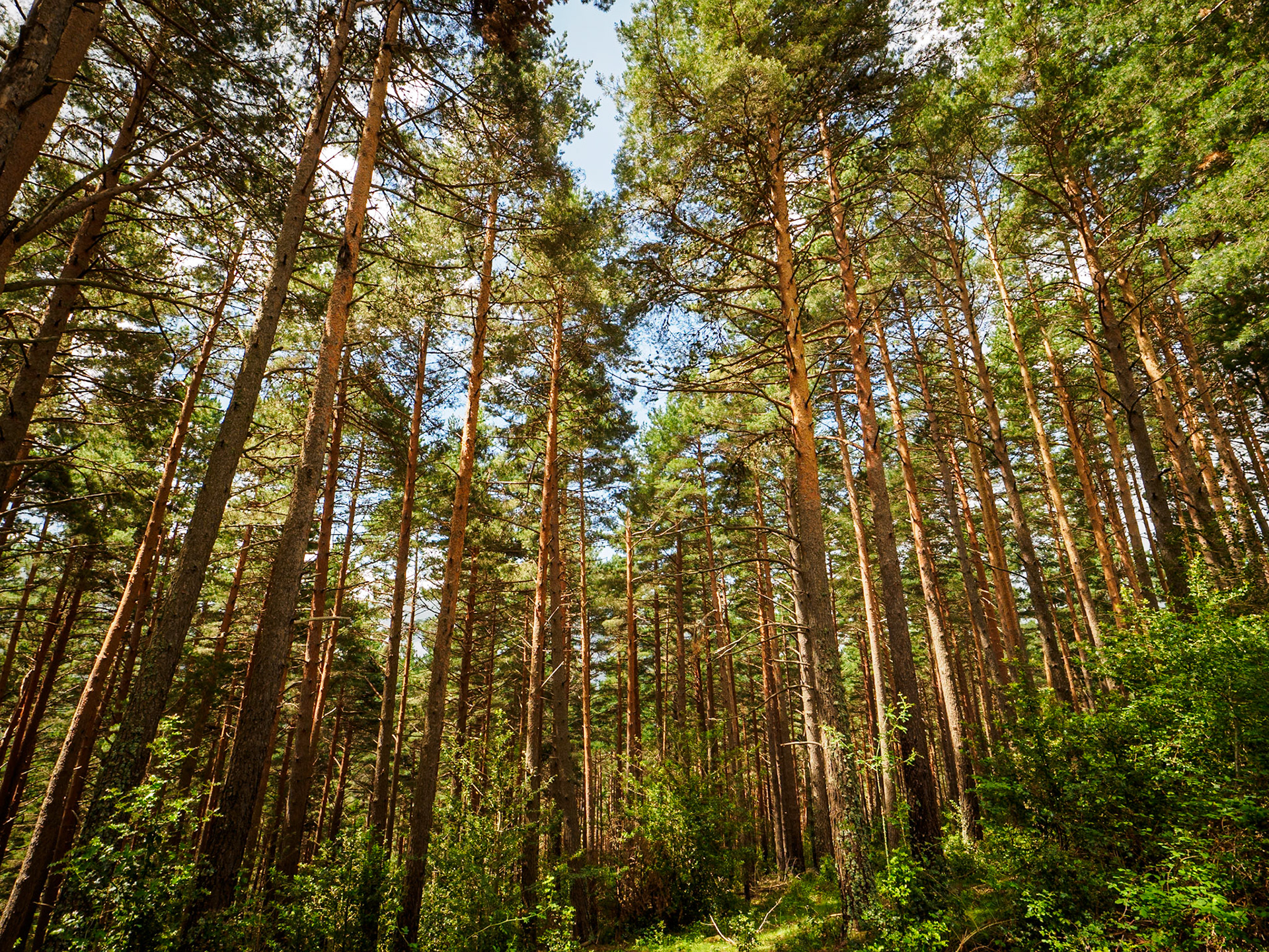 Sendero de la Cascada de Puente Ra