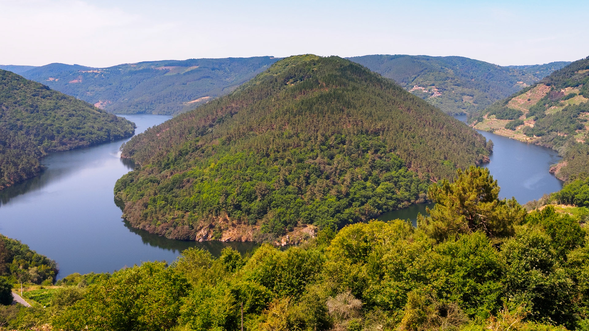 Río Miño. Bodega Abadía da Cova