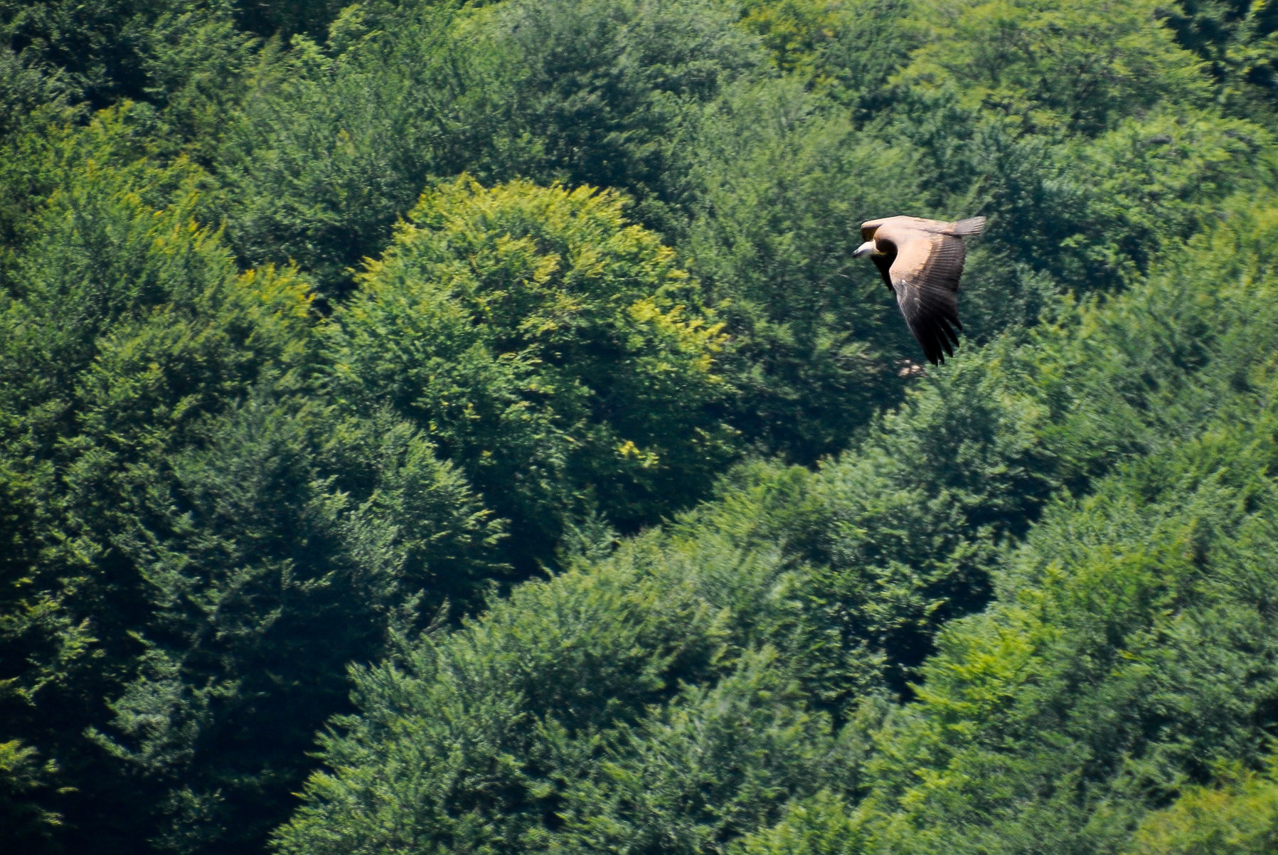 Balcón de Pilatos. Sierra de Urbasa