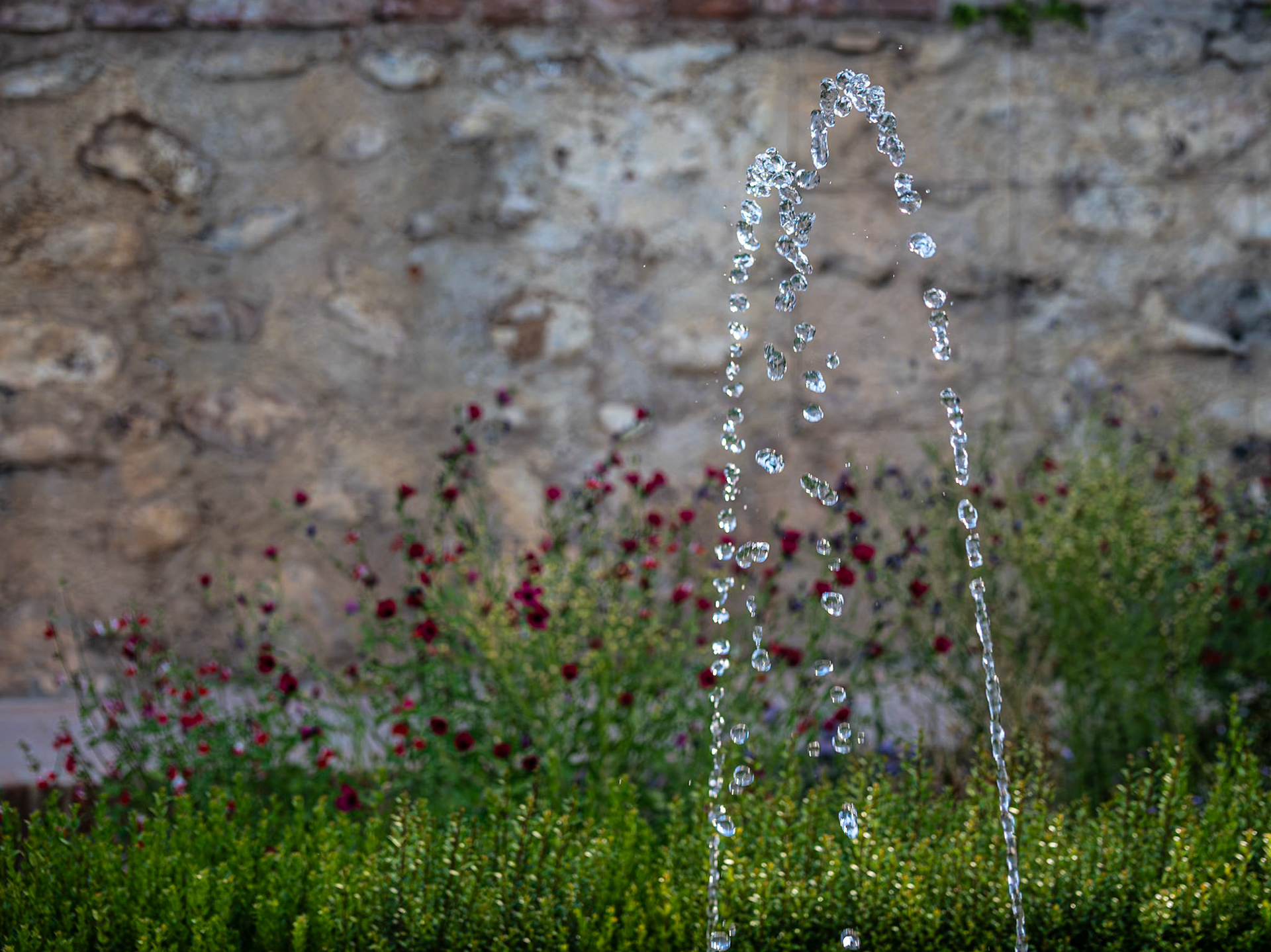 En el Generalife