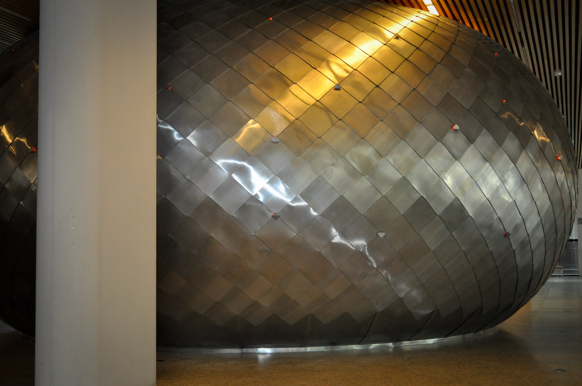 Burgos. Museo de la Evolución Humana