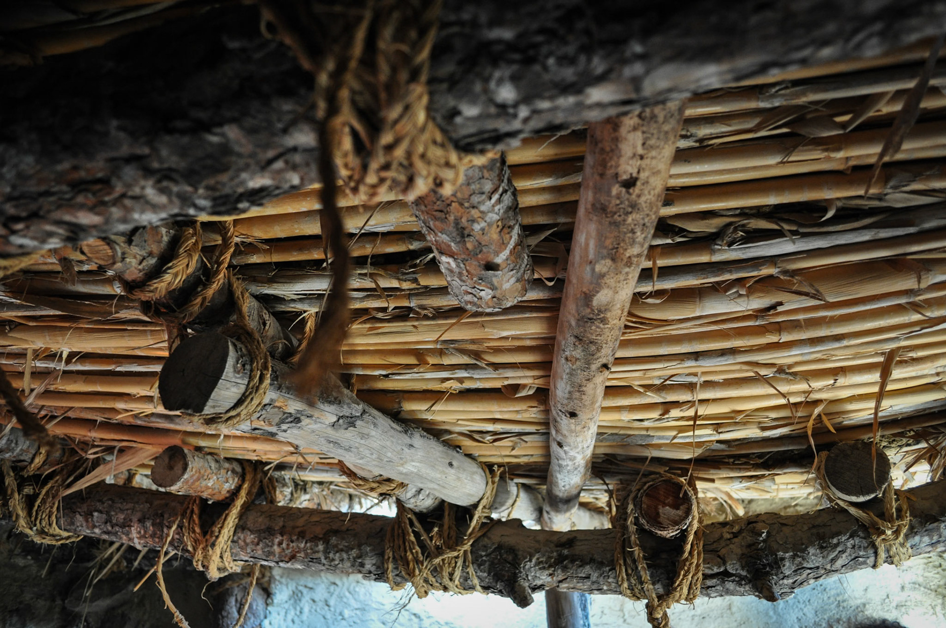 Castellón Alto. Galera. Granada