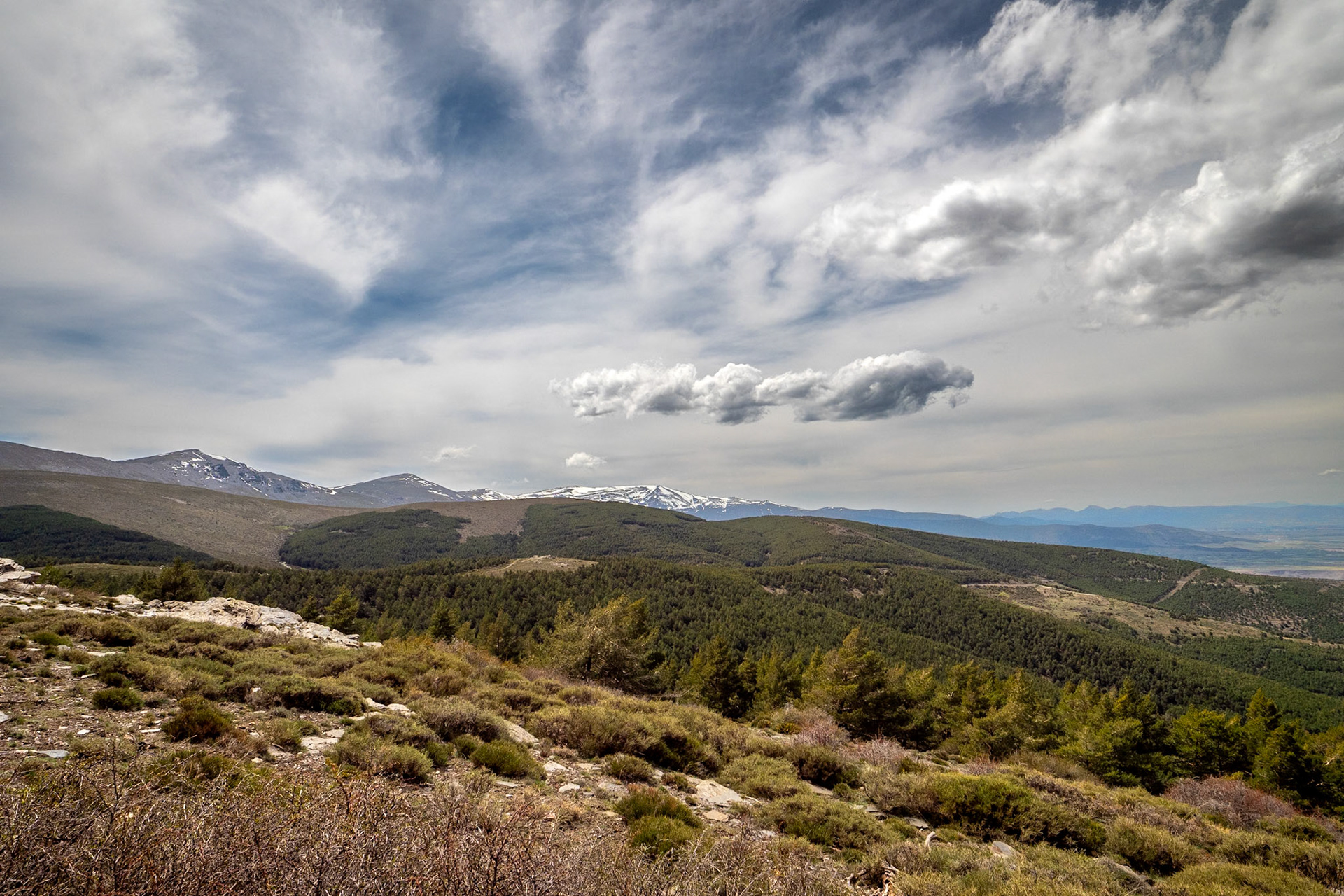Sendero de El Chullo