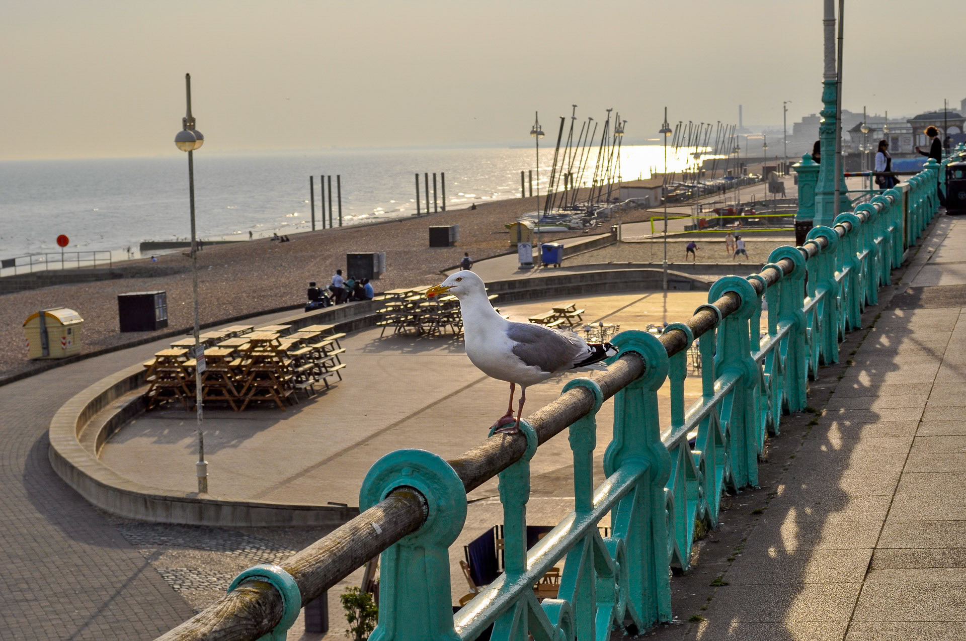 Brighton
