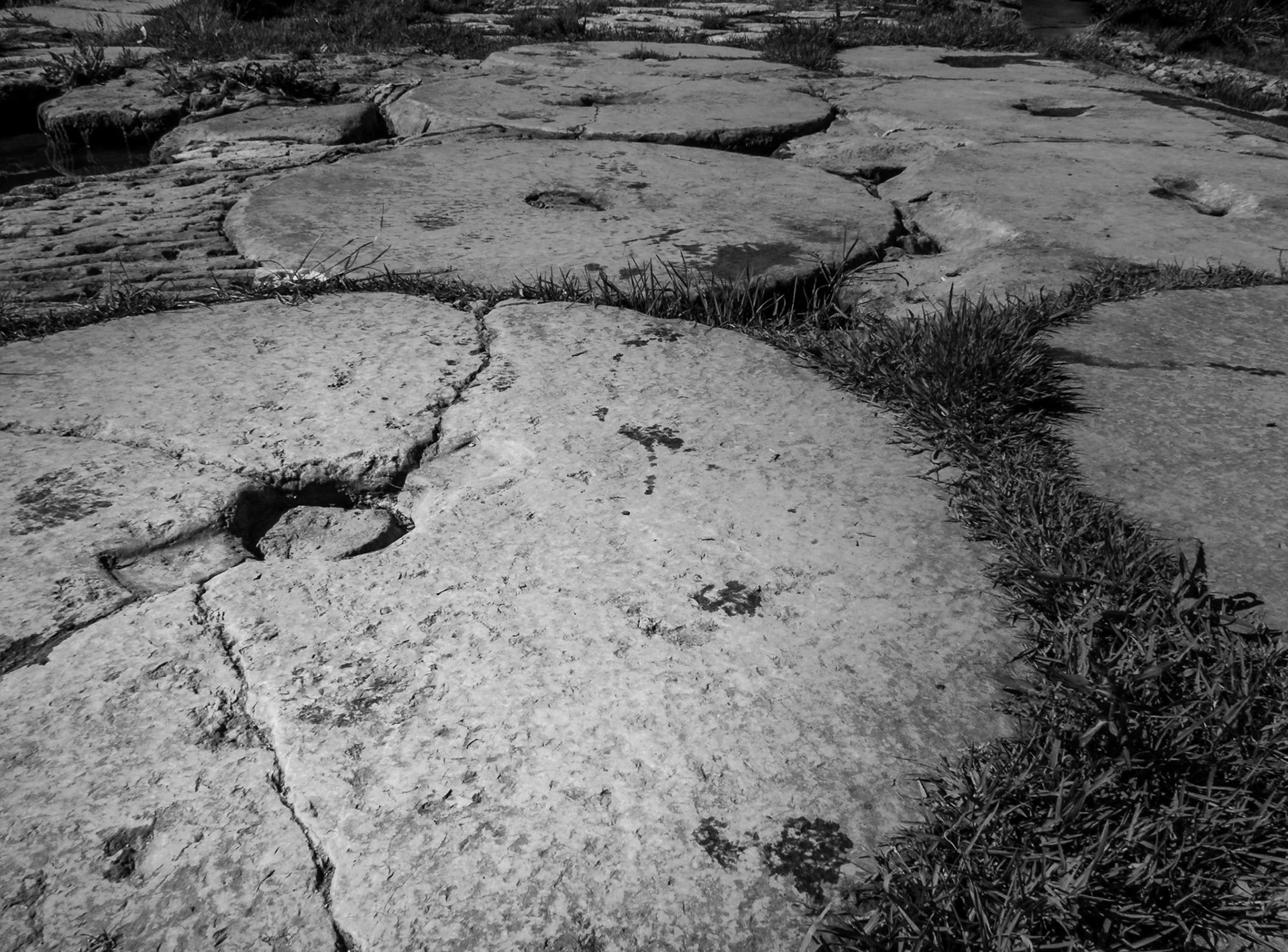 Molino del Algarrobo