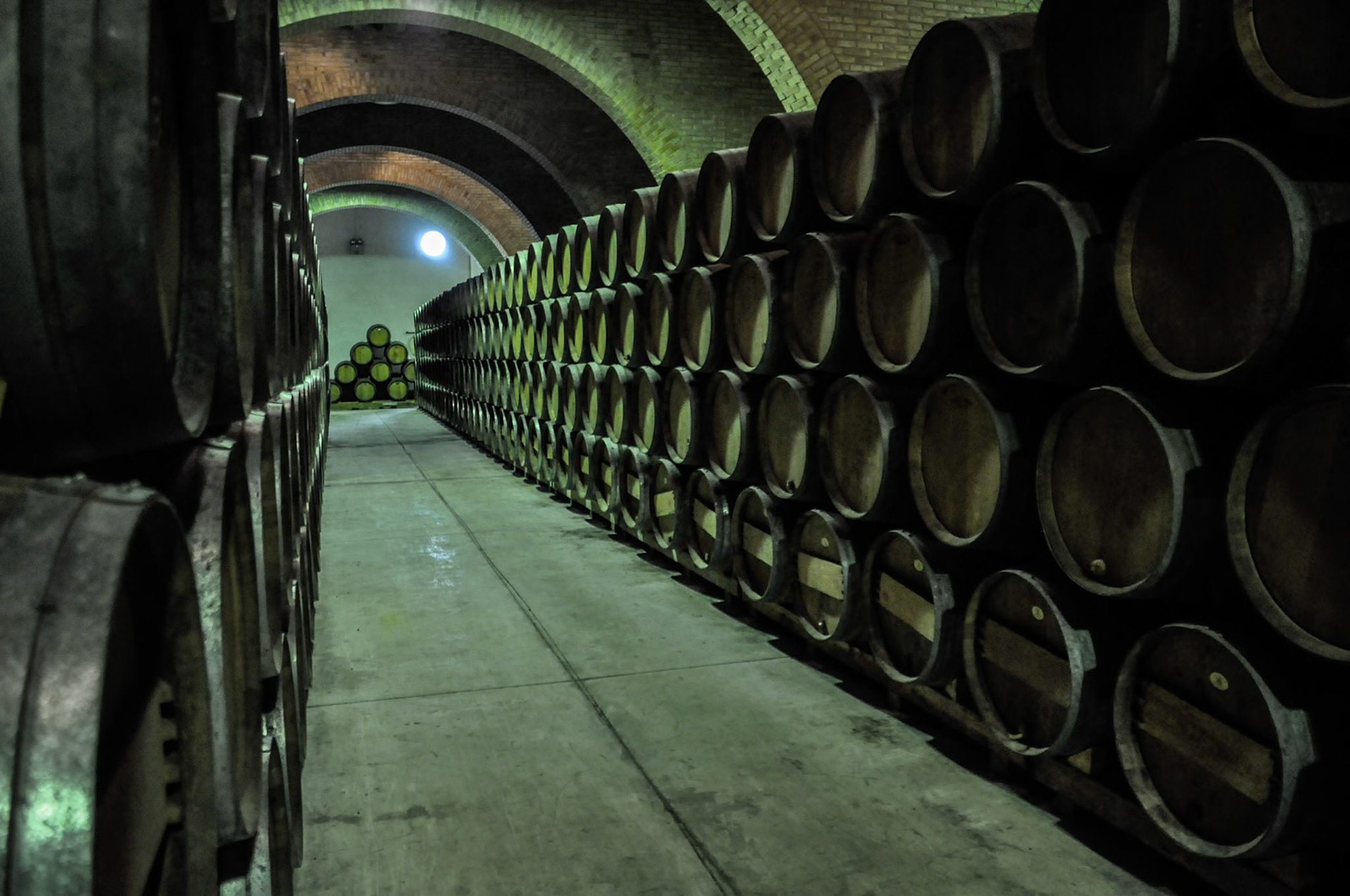 Bodegas Irache. Ayegui. Navarra