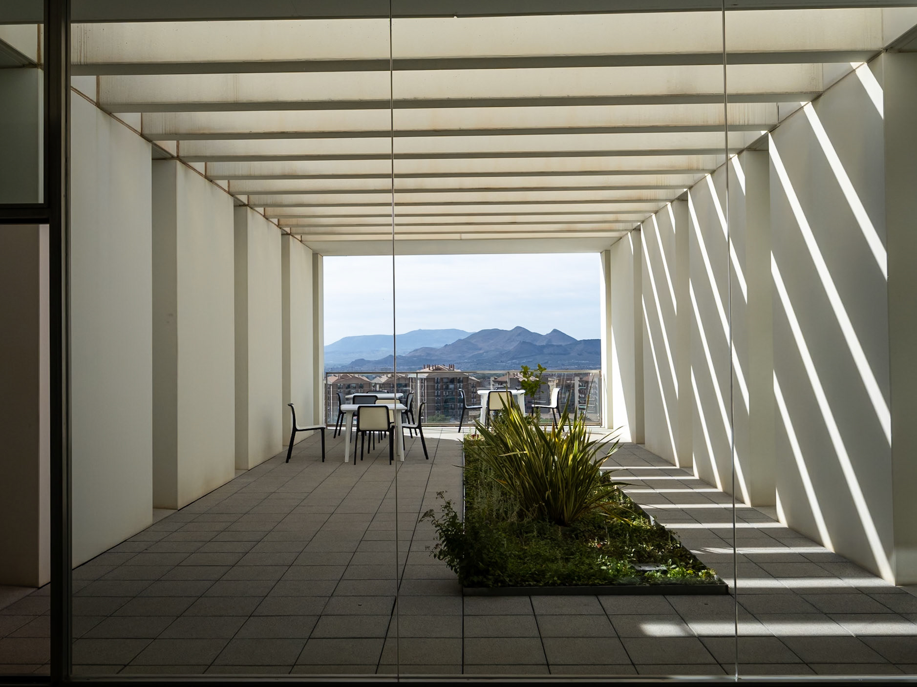 Centro de Investigación mente, cerebro y comportamiento