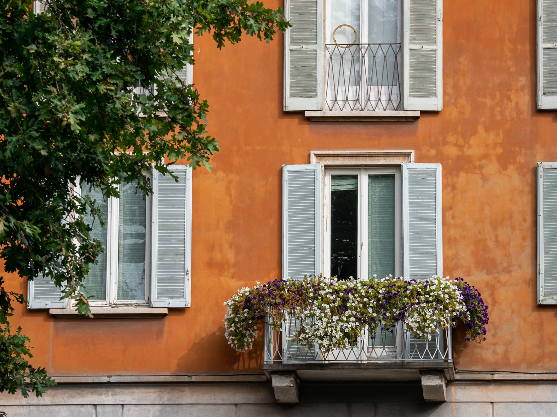 Universidad y alrededores